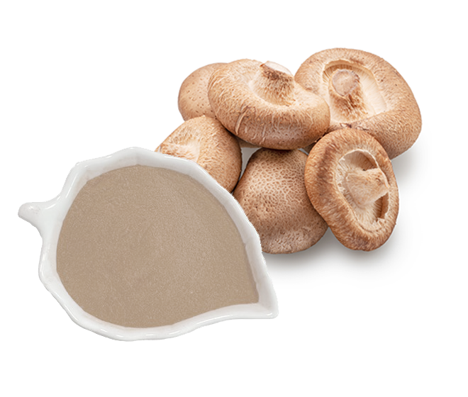 Shiitake Mushroom Extract - Polysaccharides 20%.png