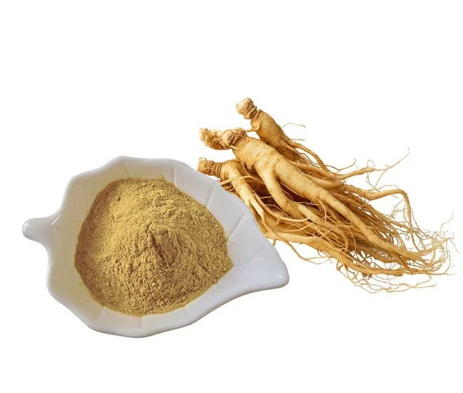 Ginseng Extract.jpg