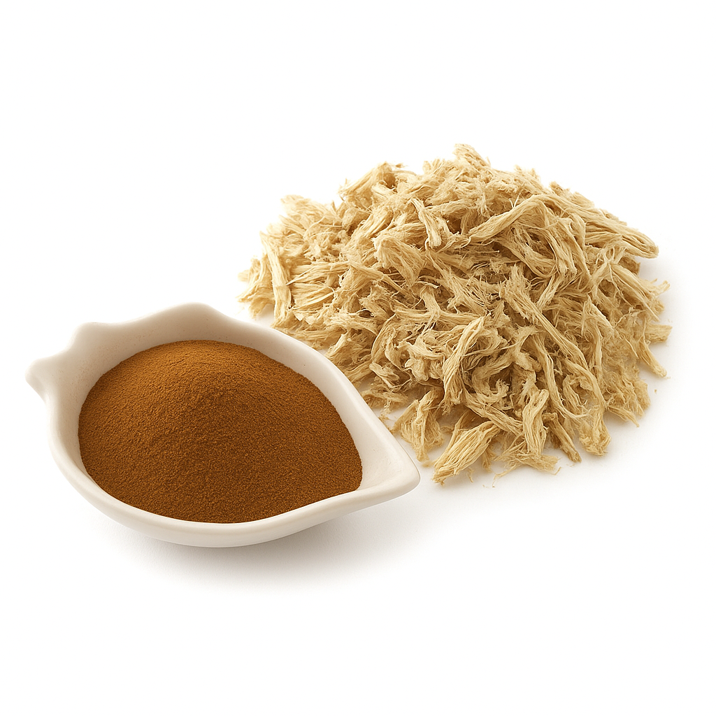 ChatGPT Image Dec 5, 2025, 11_04_36 AM.png