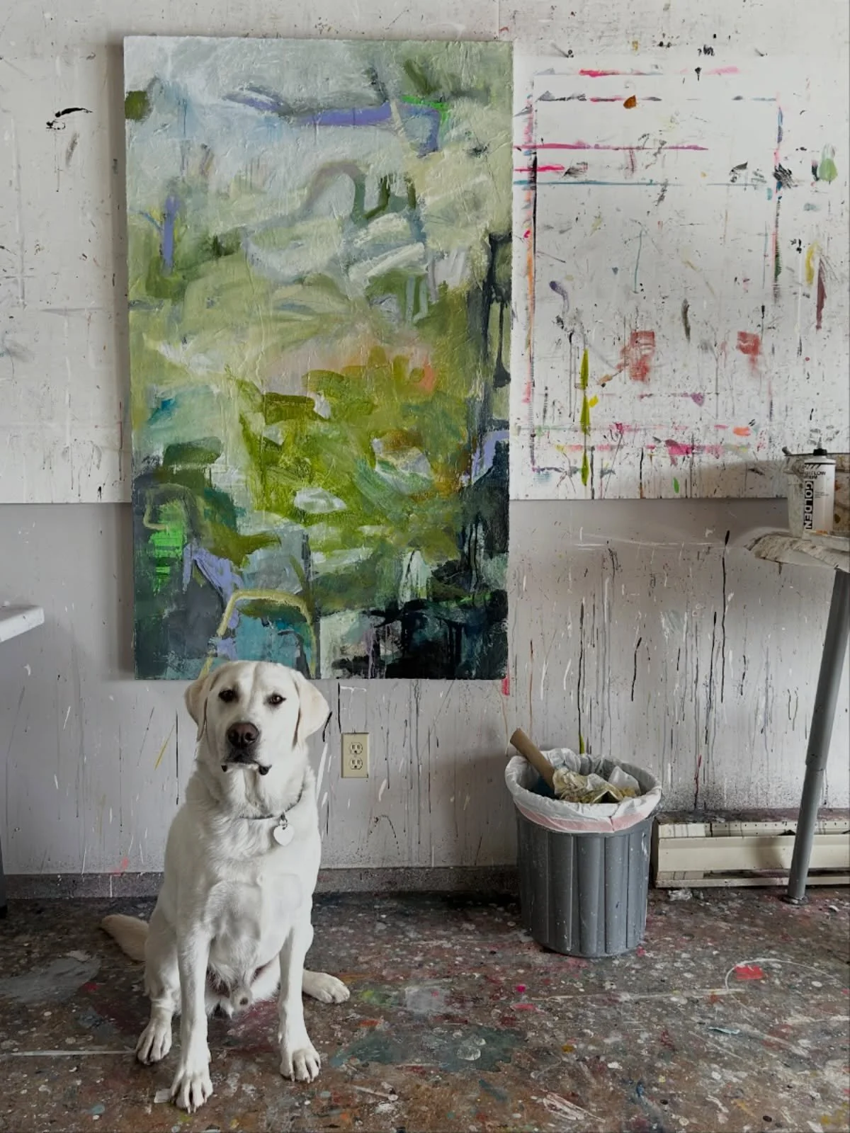 studio helper Oski once again upstaging this work in progress

#contemporaryabstractart
#artforinteriors
#lyricalabstraction 
#saltspringisland
#westcoastartist