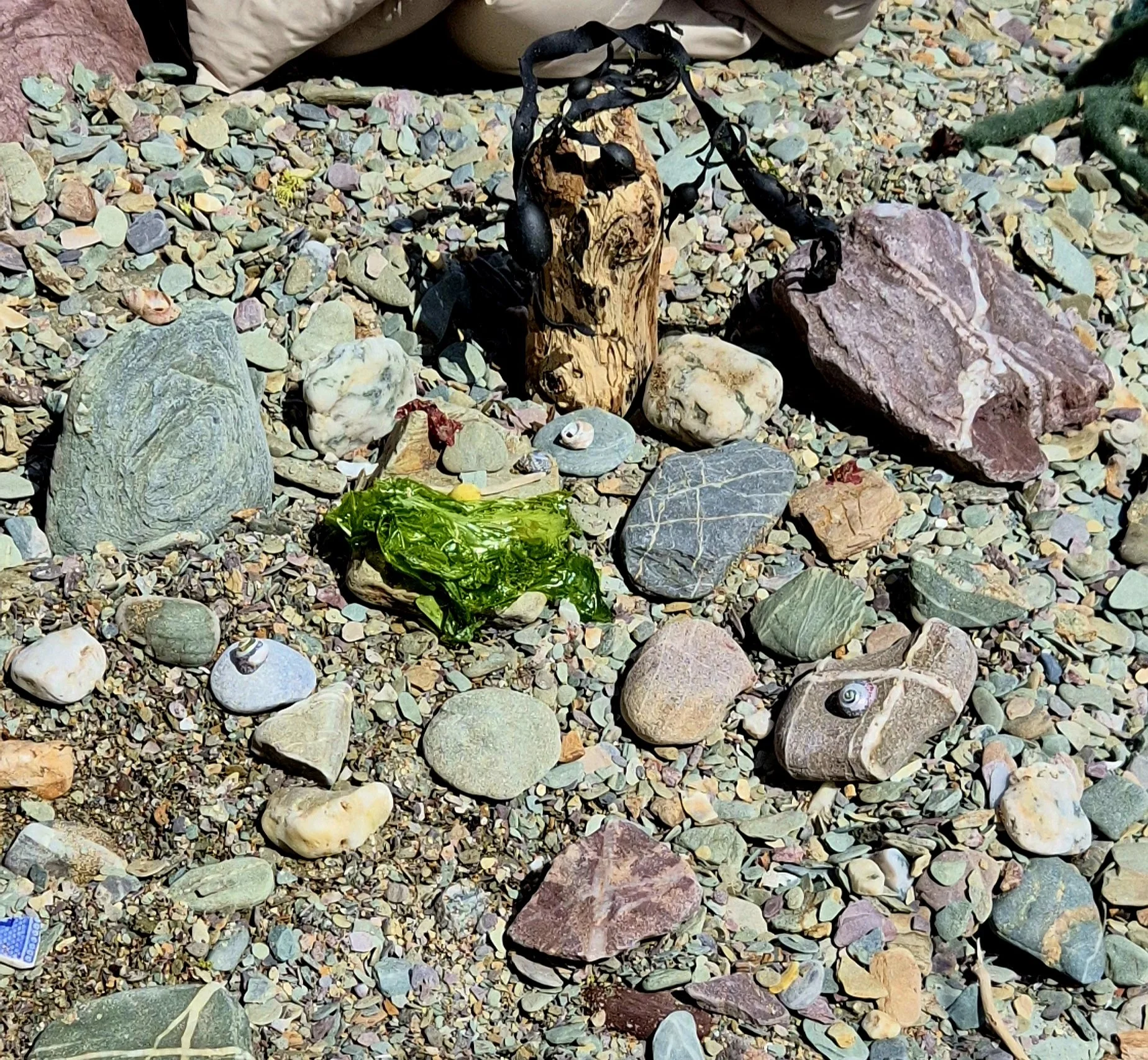 20260513_114650.jpg