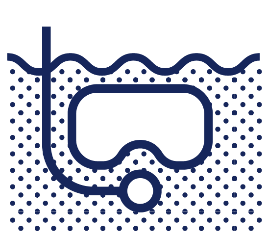 Dock Icon
