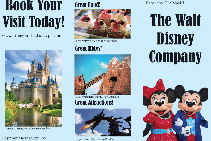 The Walt Disney Company - Sample Brochure
