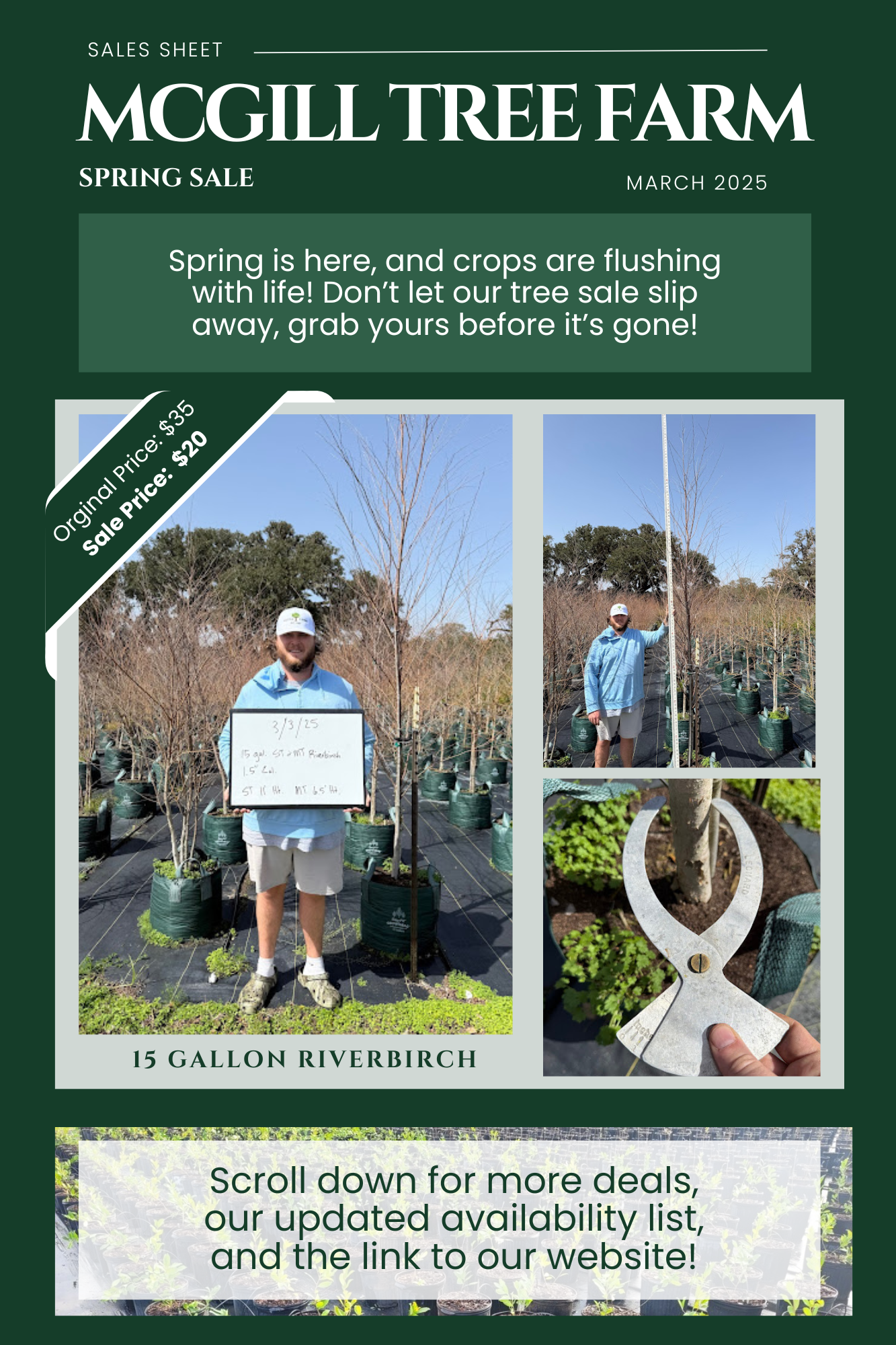 Mcgill Farms Newsletters