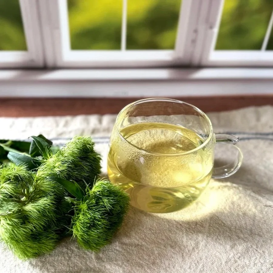 a glass cup of green tea in front of a window next to a sprig of green leaves on a linen table runner