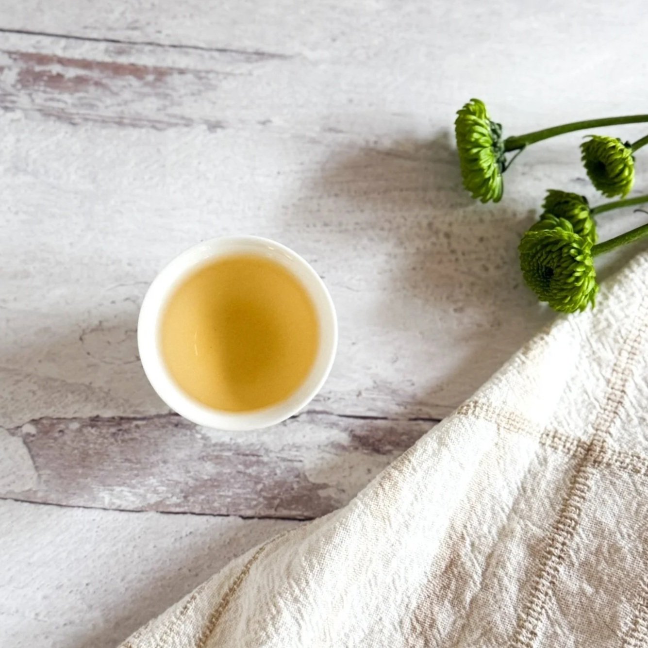 Green Tea Explorers Bundle