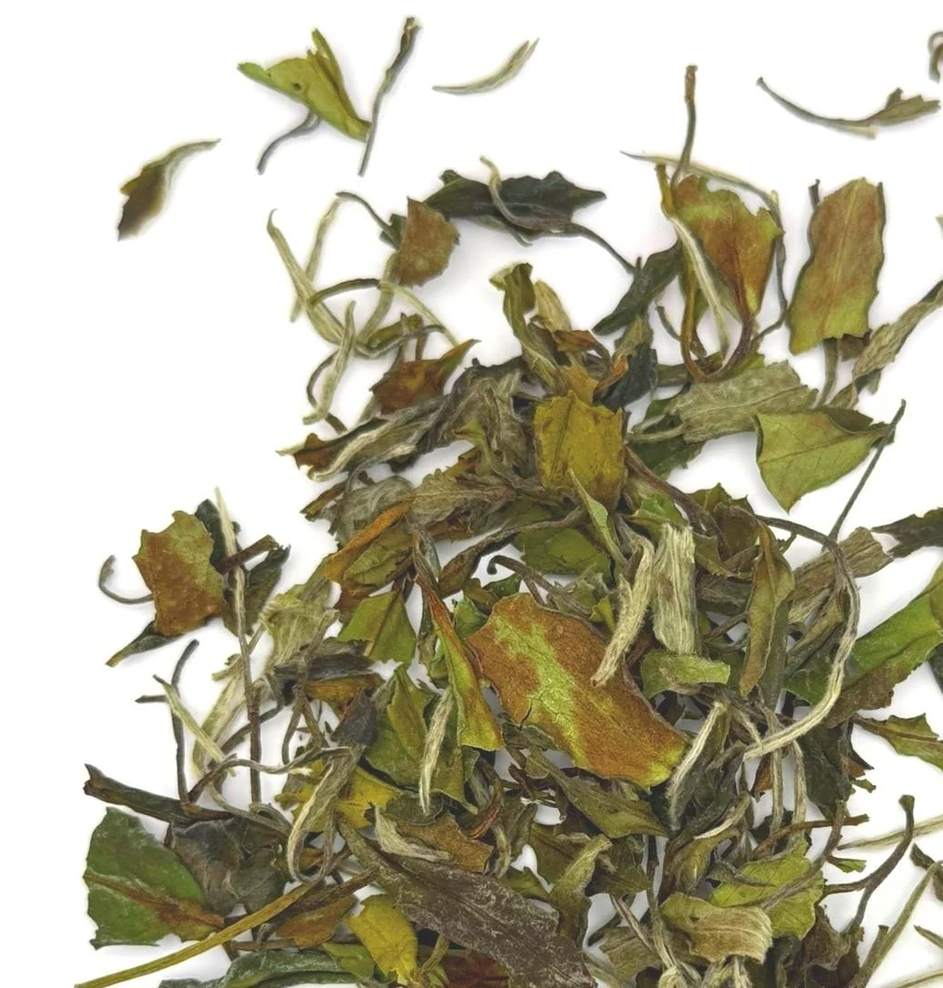 dry large tea leaves and buds on a white surface