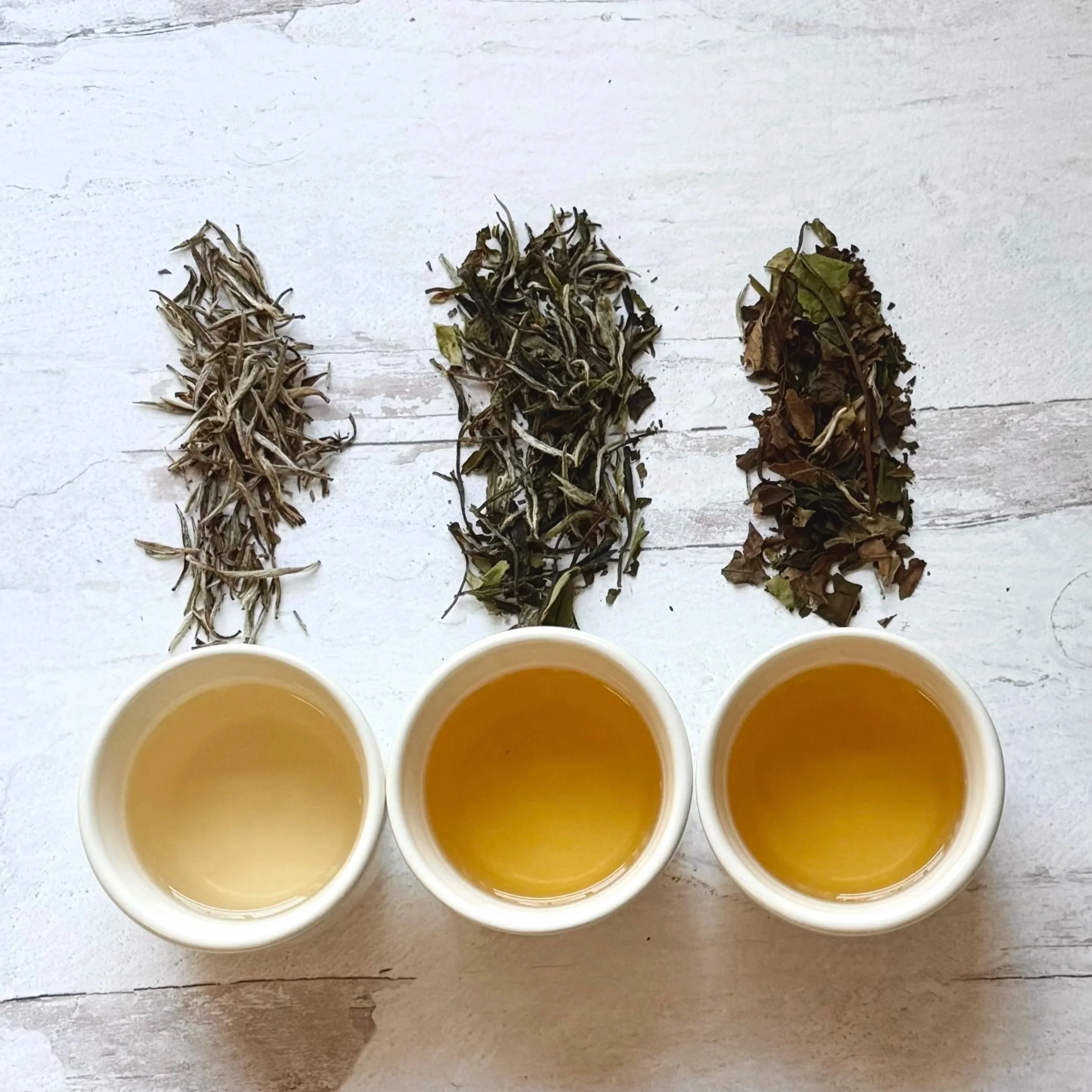 overhead view of 3 cups of white tea next to small piles of dry tea leaves