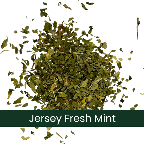 a pile of dry organic peppermint spearmint tea on a white background