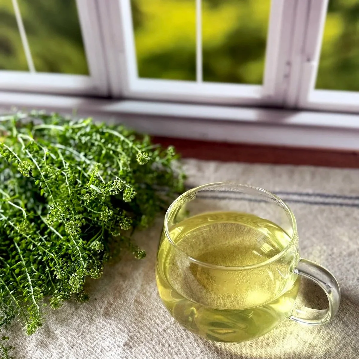 a glass cup of green tea set on a beige cloth on a wood table in front of a window and next to a spray of green leaves