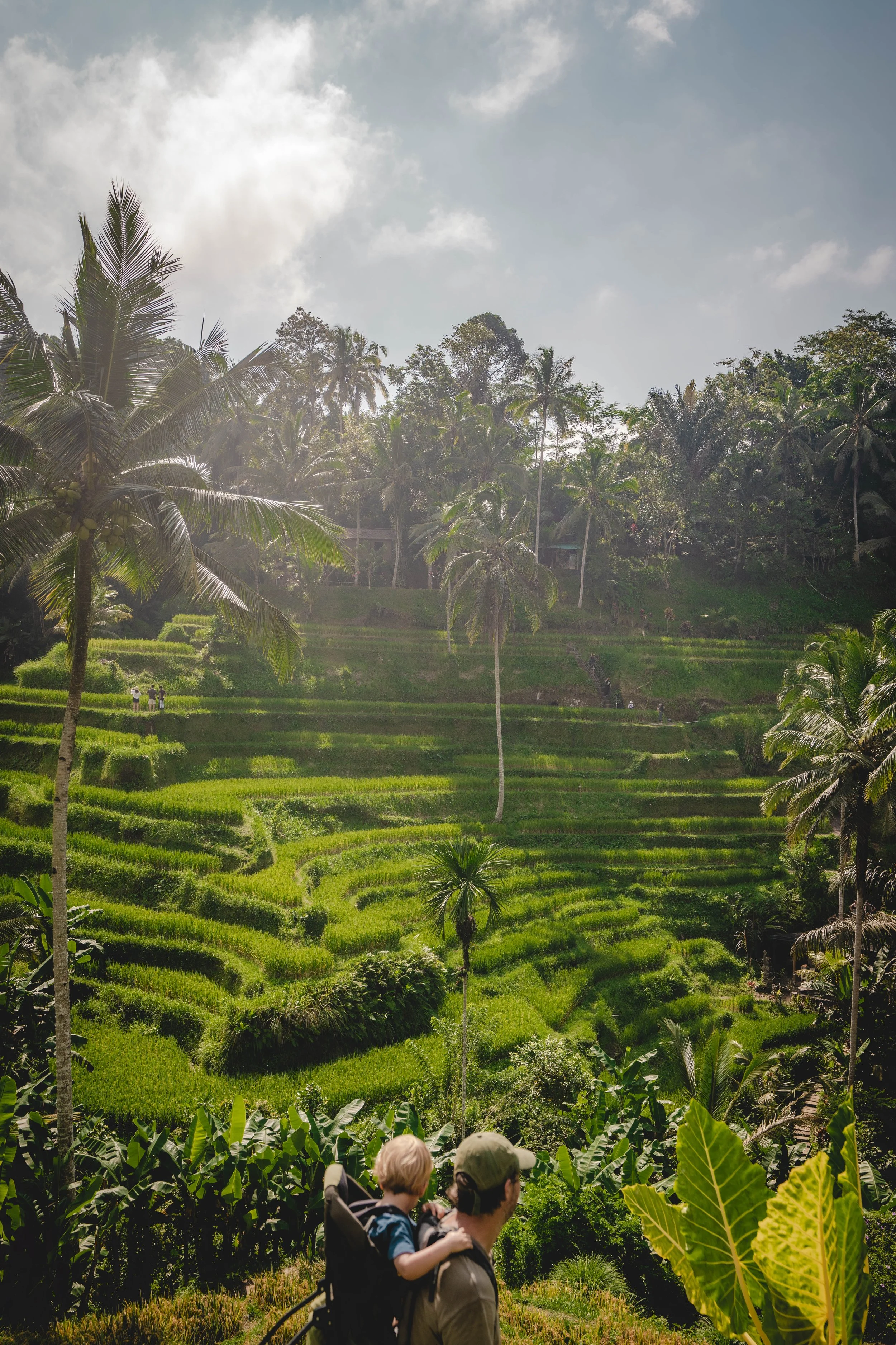 Bali met kinderen, Ubud rijstvelden, Tis Cafe, wandelen Bali