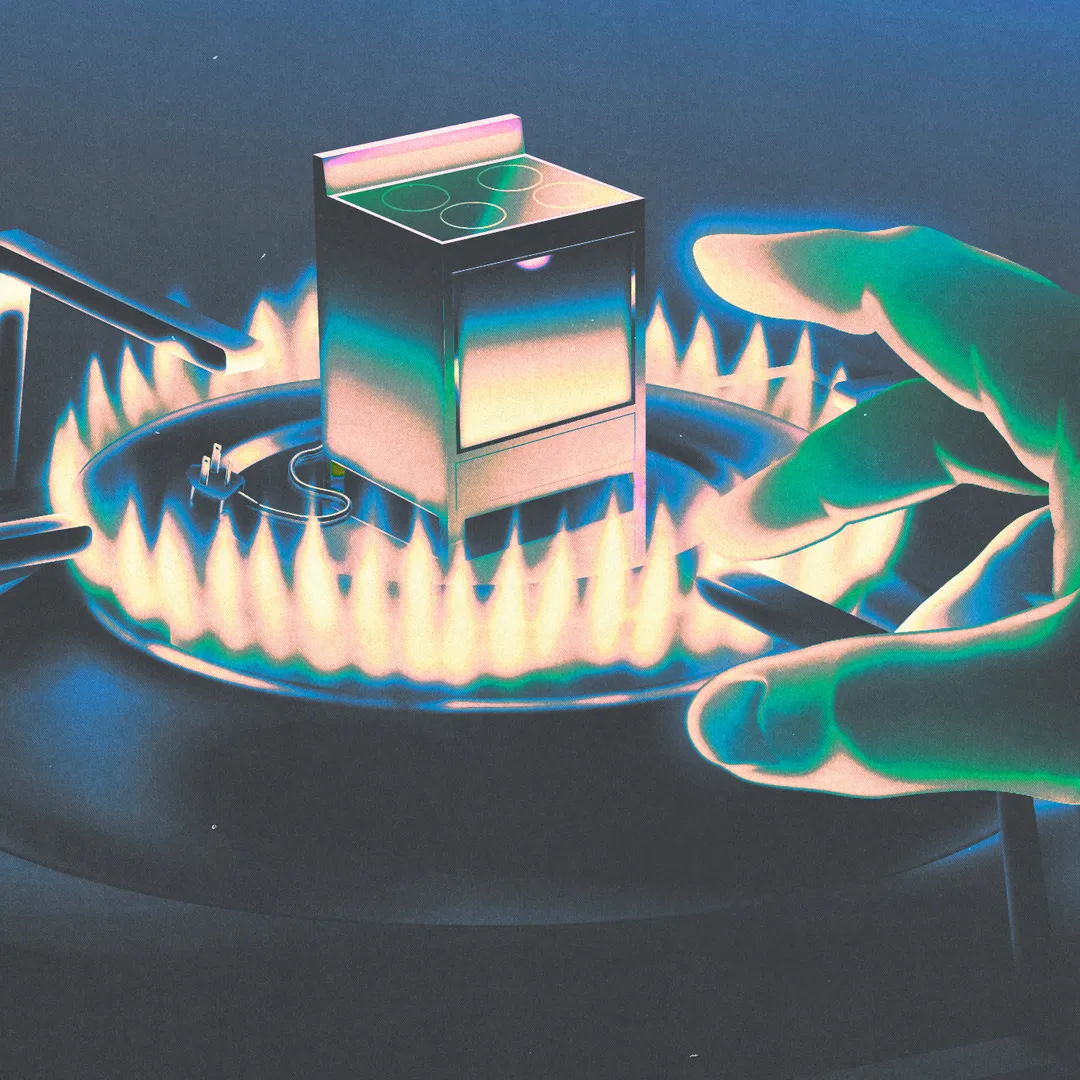 🏡💚 Going electric when you answer to a landlord