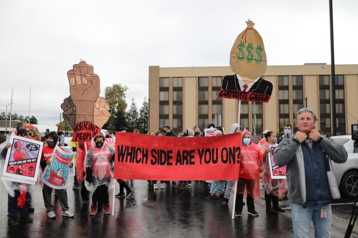 🏡💚 YIMBY on attack and punching down