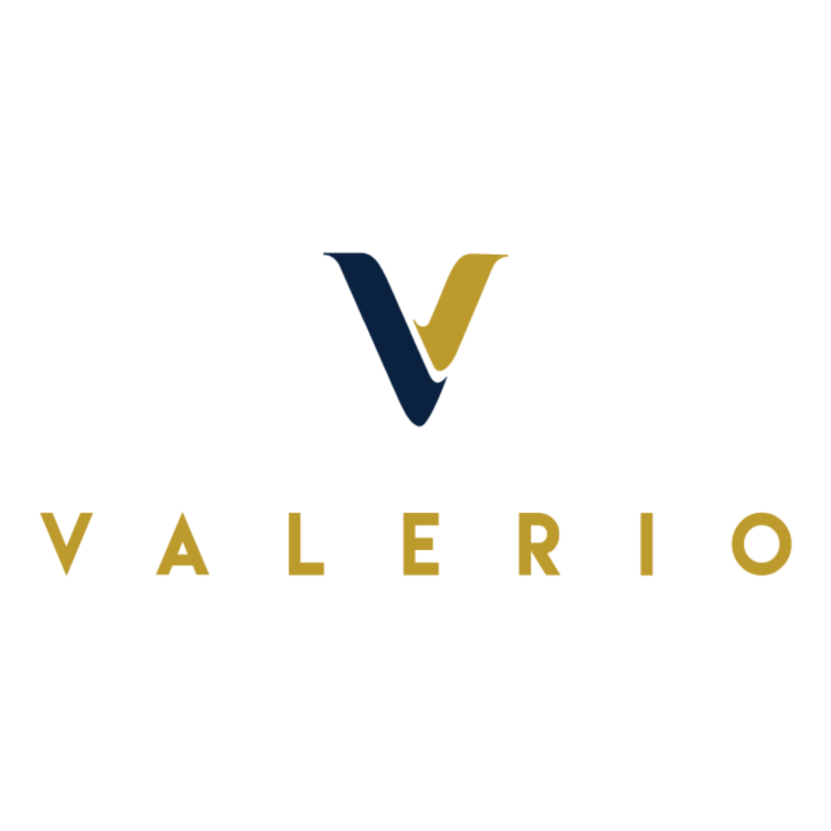 ValerioSolutions_Logo_Primary.png