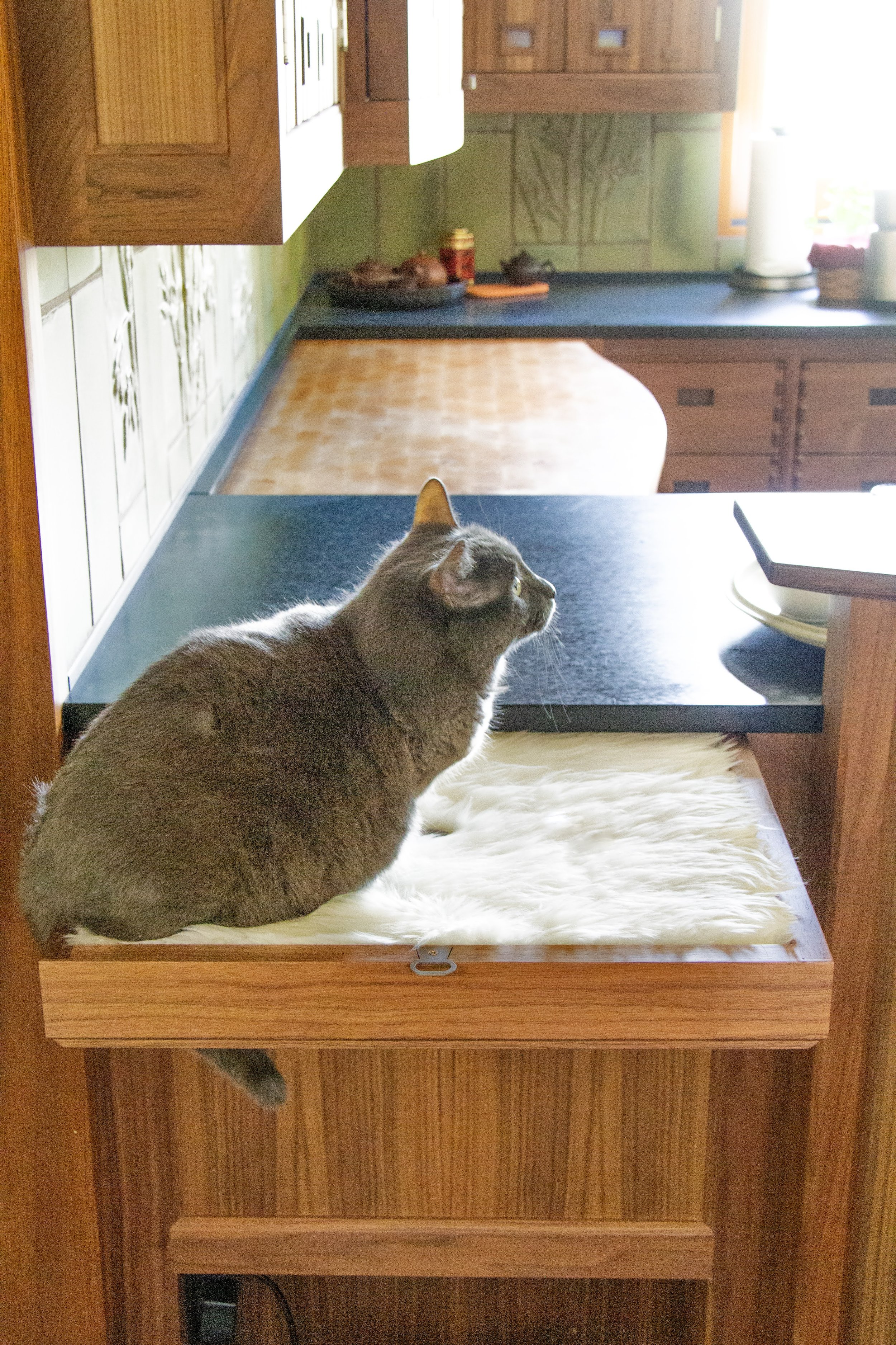 Drawer for when your cat wants to be near you when you cook