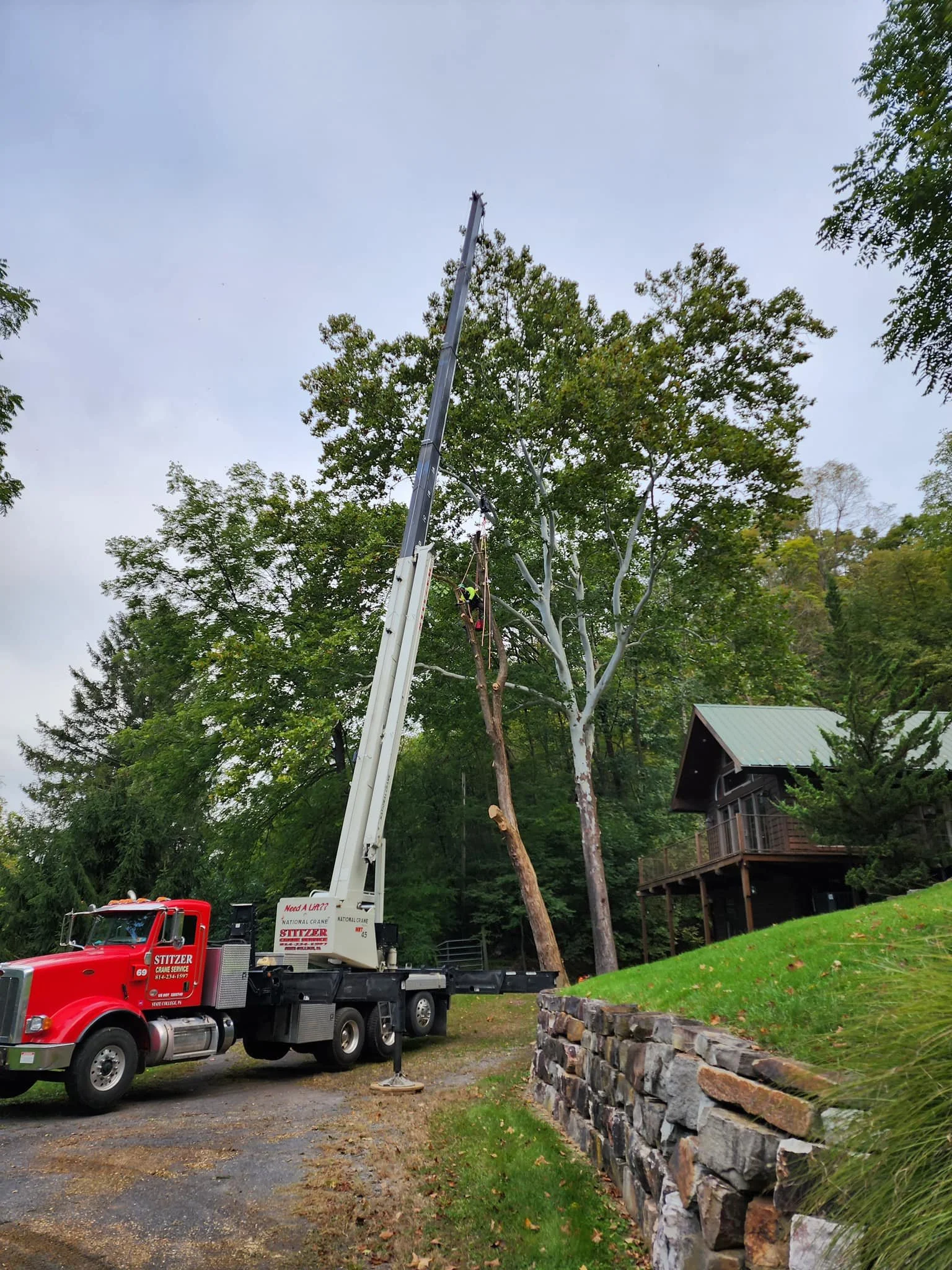 Stitzer Crane Lauder Tree Care6.jpg