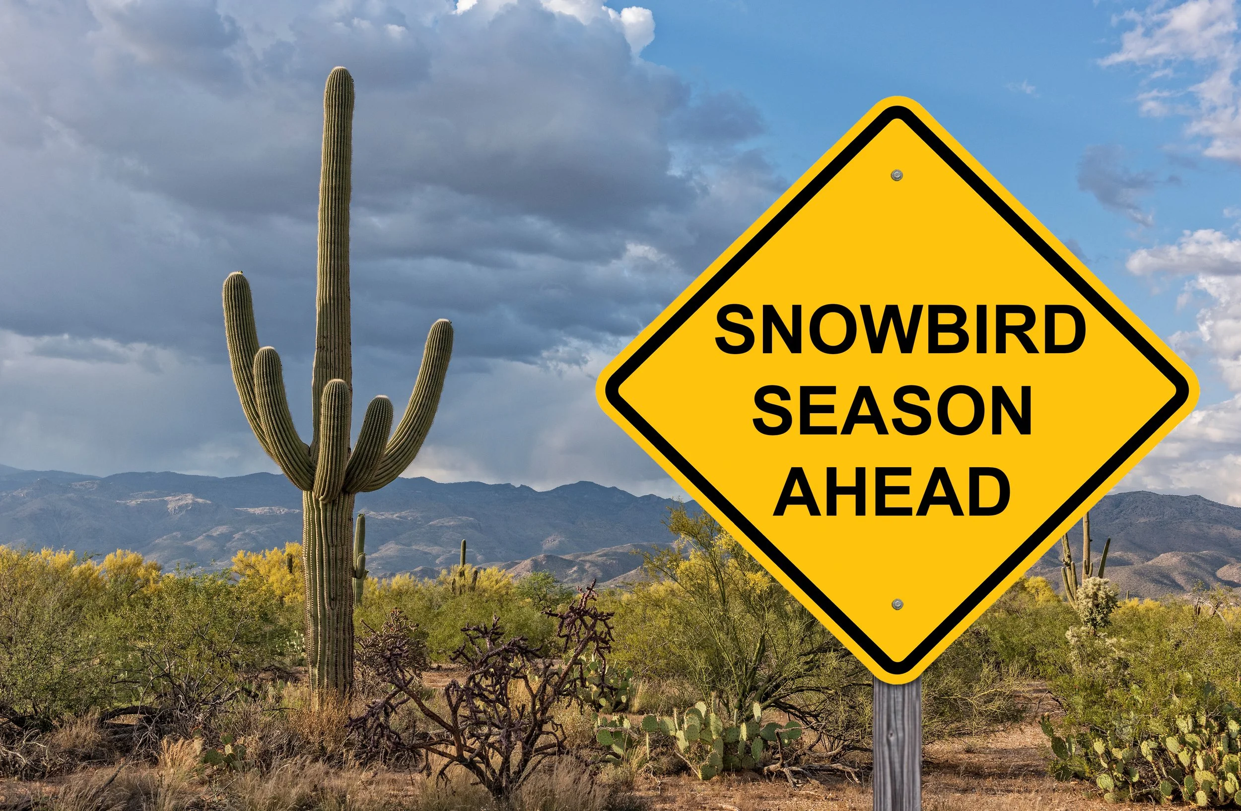 A Different Kind of Snowbird Season