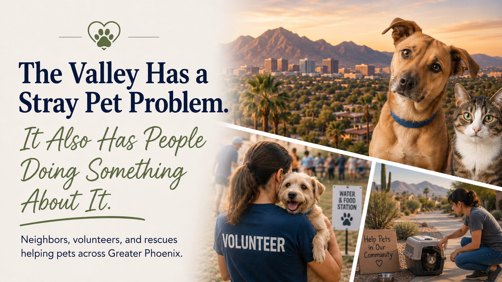 The Valley Has a Stray Pet Problem. It Also Has People Doing Something About It.