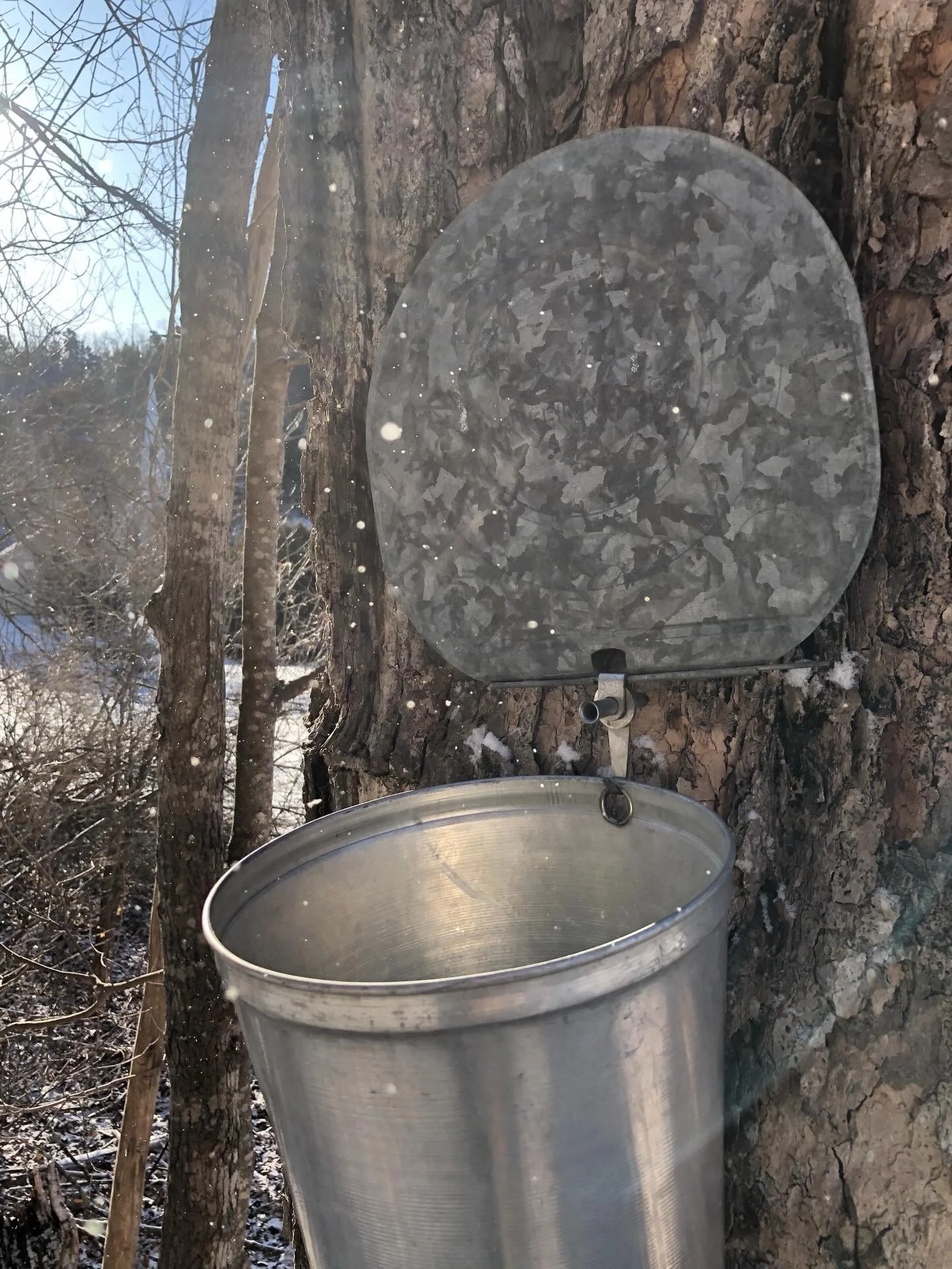 Good sugaring weather is in the forecast this week. Order today, I am shipping daily. #handmade