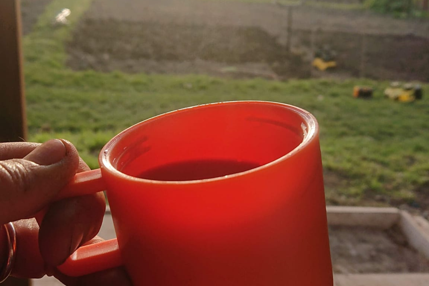 Are Allotments Still About Growing Food?