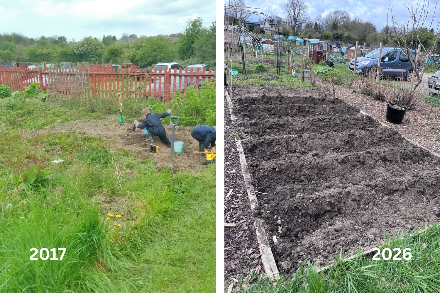 Taking on a plot can feel exciting… and a bit overwhelming.