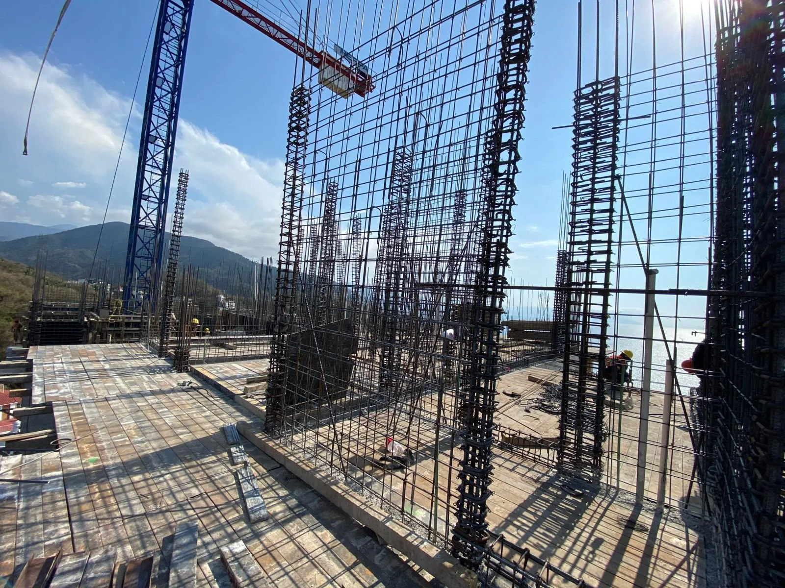 WhatsApp Image 2026-03-26 at 12.43.57 PM (11).jpeg