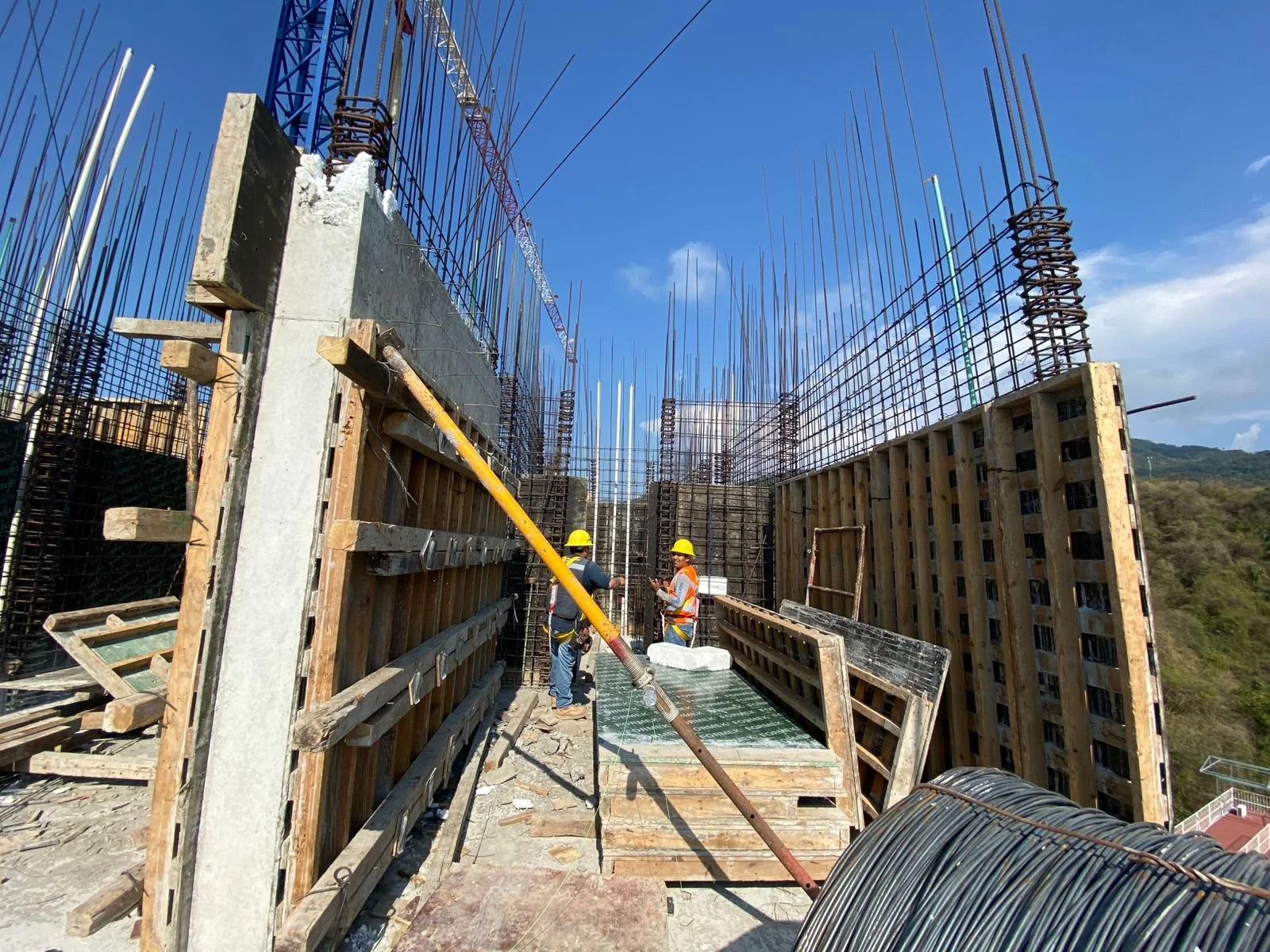 WhatsApp Image 2026-03-26 at 12.43.58 PM (5).jpeg