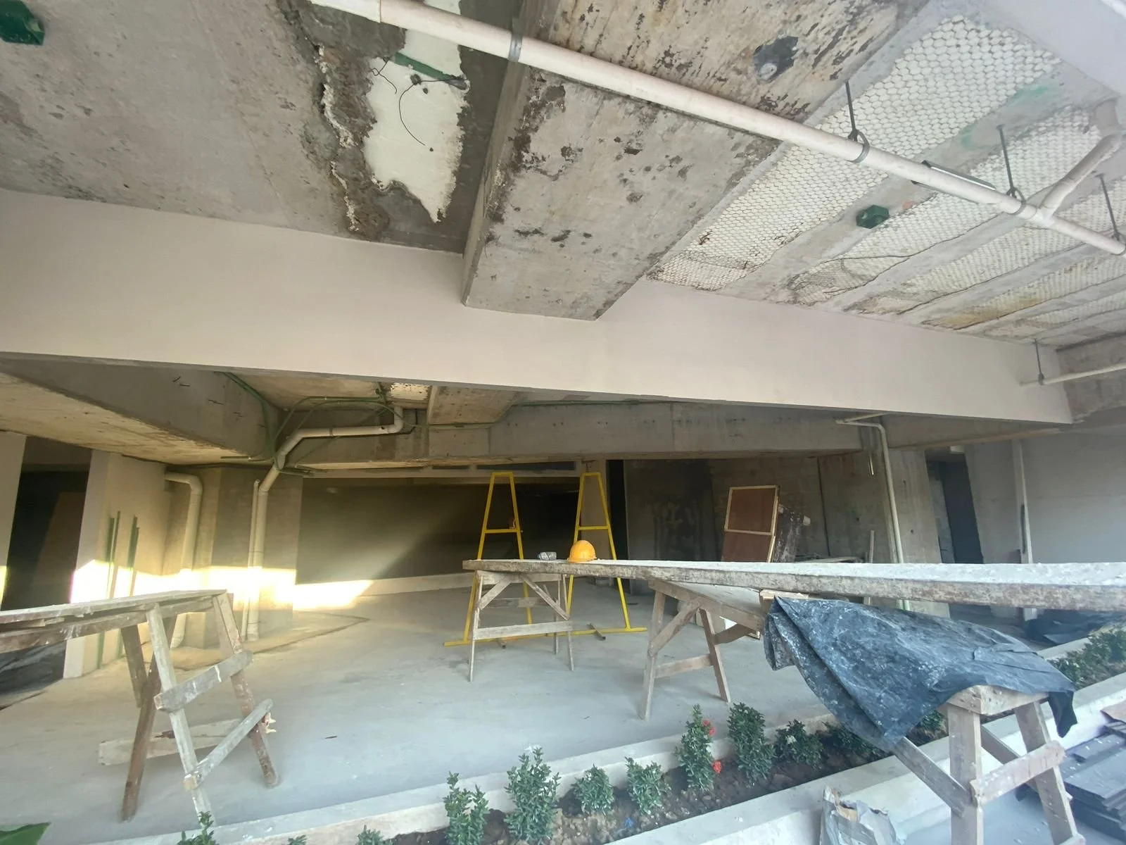 PHOTO-2026-01-15-11-50-00 3.jpg