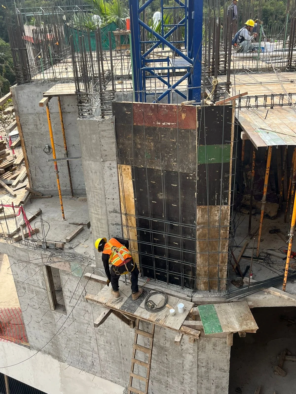 PHOTO-2026-01-15-11-50-52 10.jpg