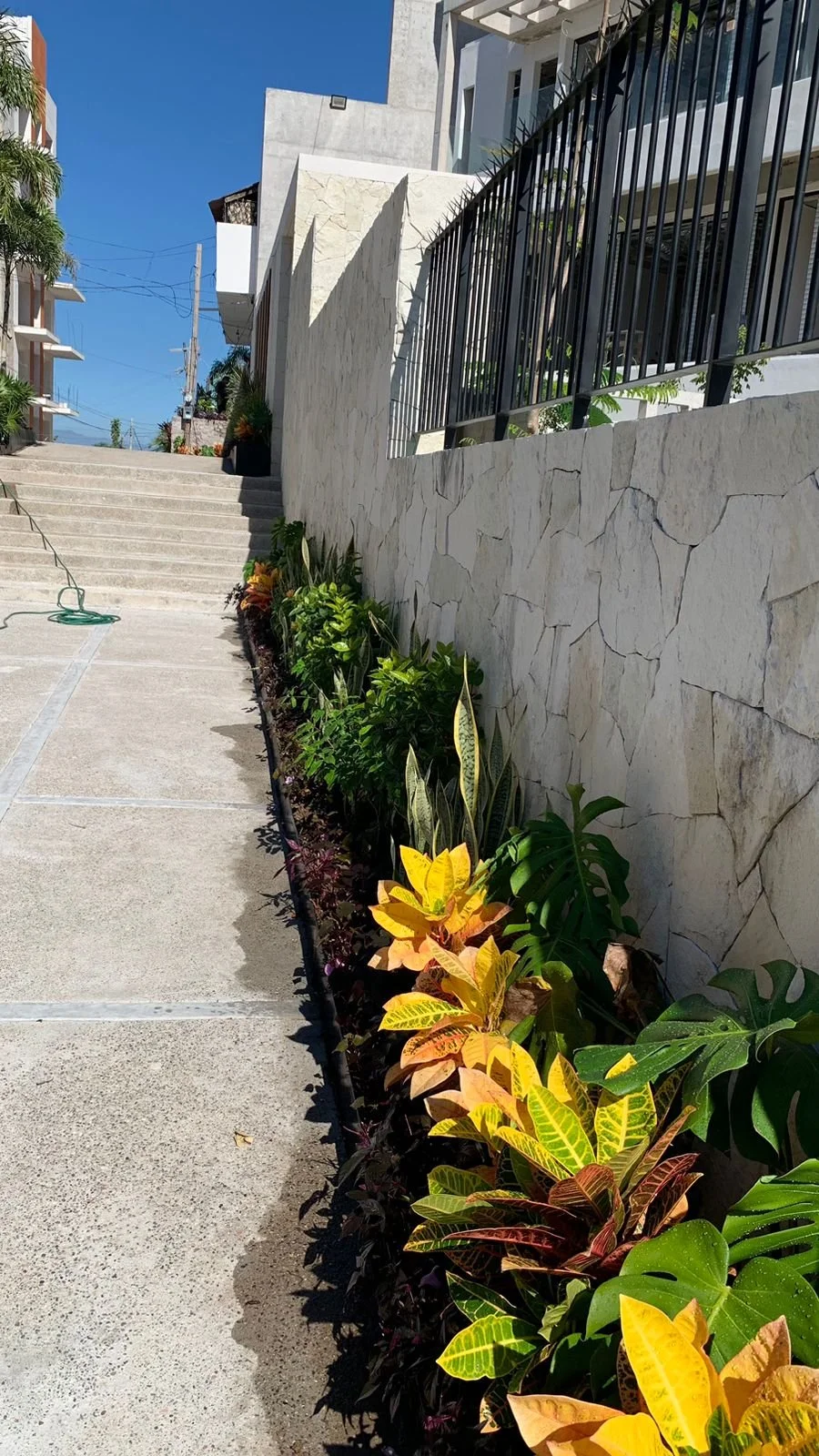 PHOTO-2026-01-15-11-49-58 3.jpg