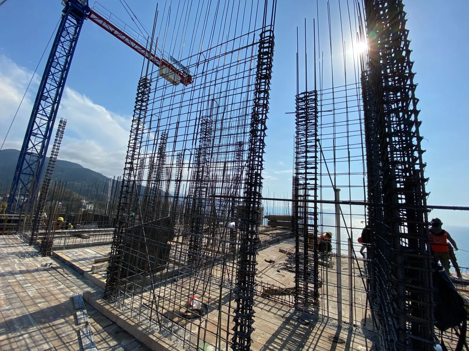 WhatsApp Image 2026-03-26 at 12.43.57 PM (10).jpeg