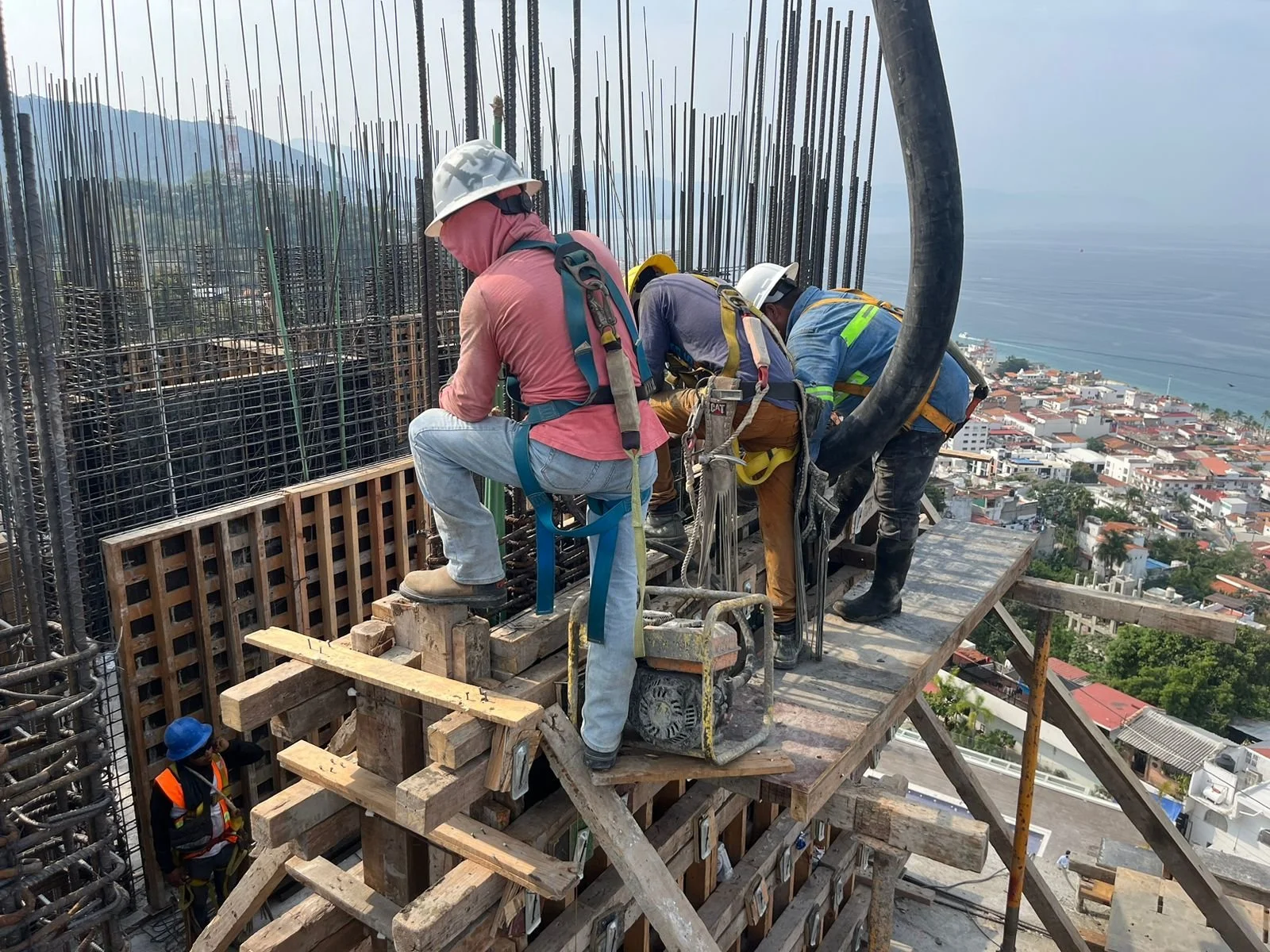 PHOTO-2026-01-15-11-50-51 6.jpg