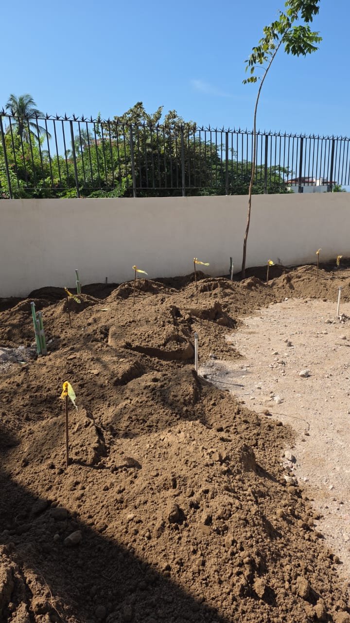 WhatsApp Image 2025-11-03 at 2.57.46 PM (1).jpeg