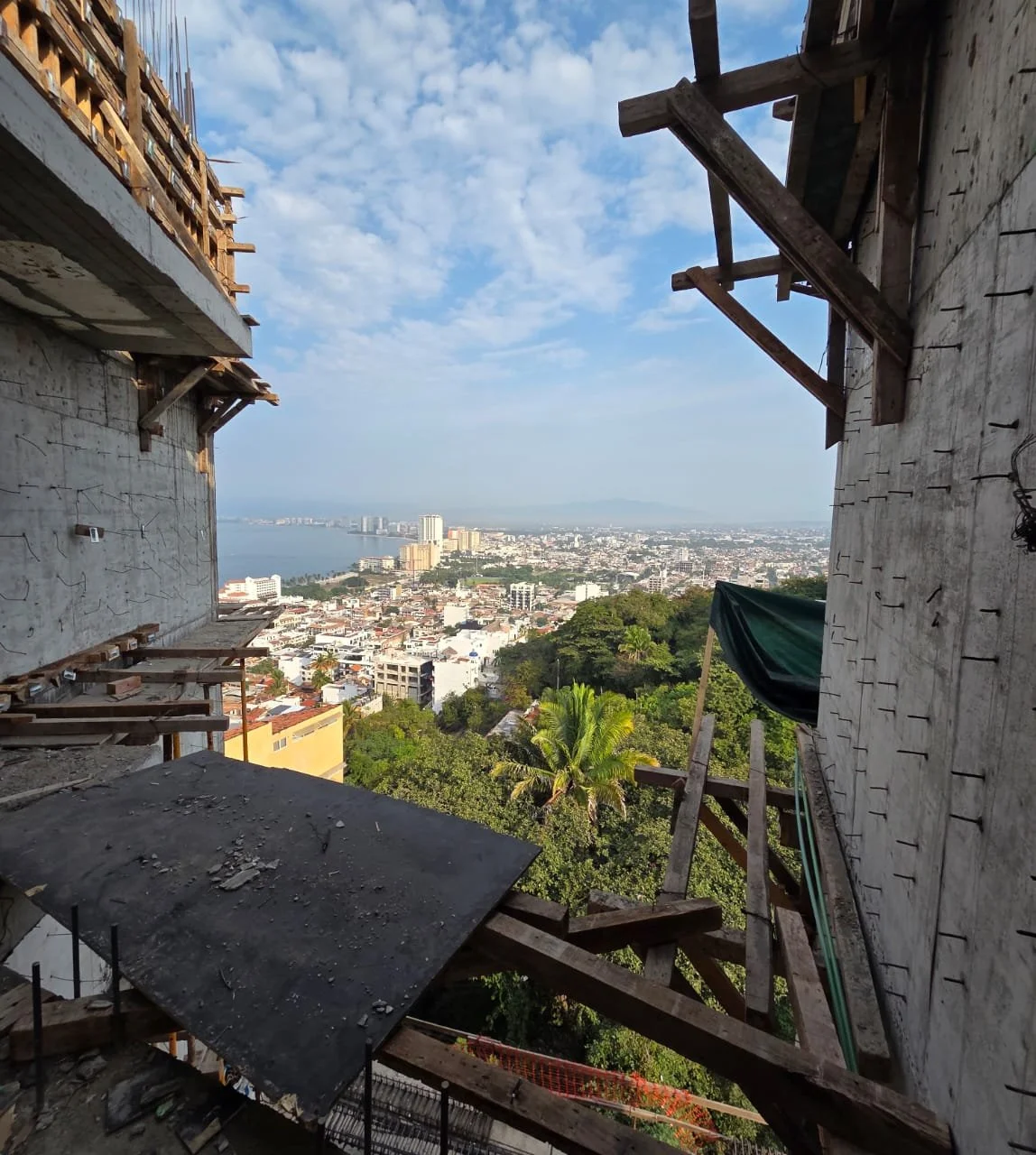 PHOTO-2026-01-15-11-50-27 3.jpg