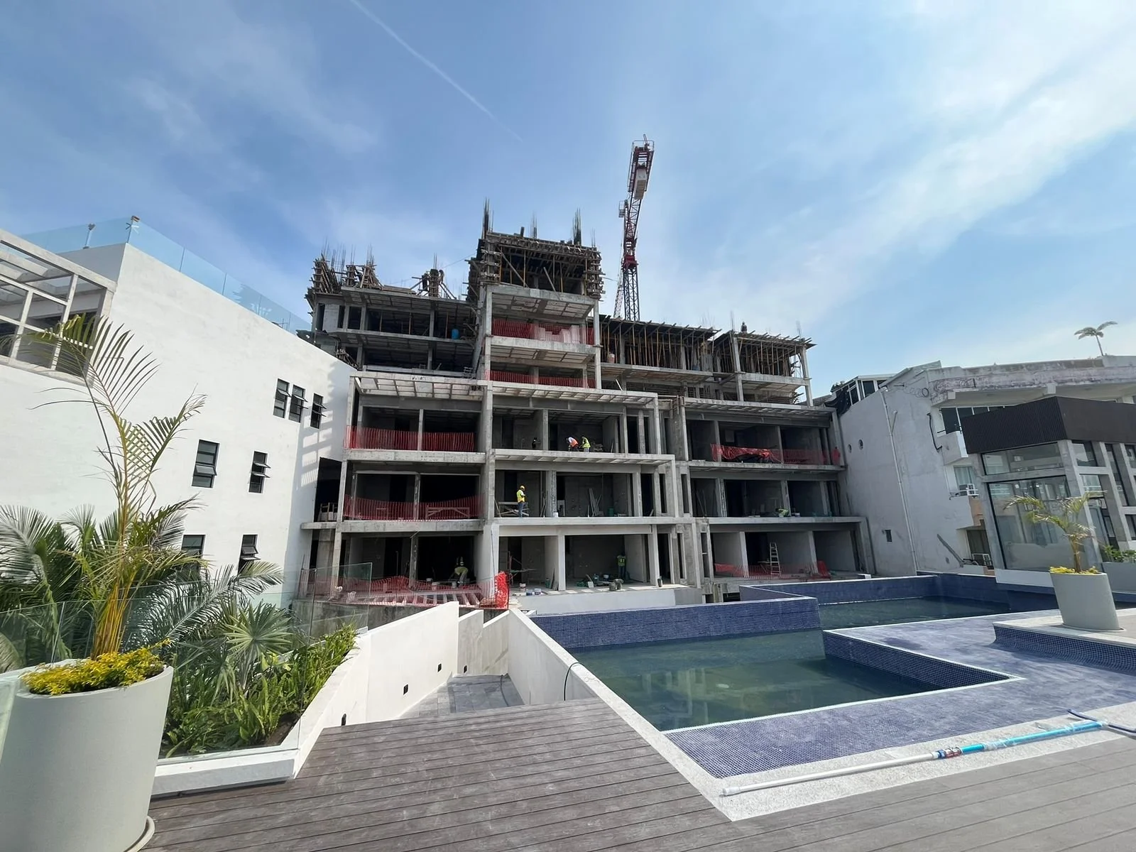 PHOTO-2026-01-15-11-50-51 8.jpg