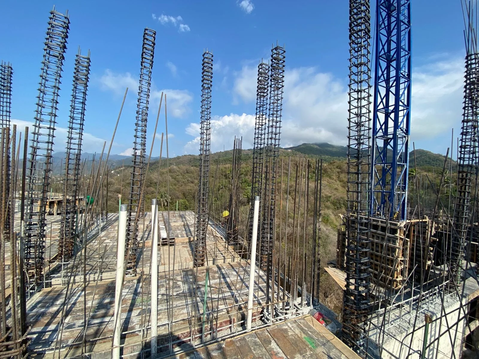 WhatsApp Image 2026-03-26 at 12.43.57 PM (5).jpeg