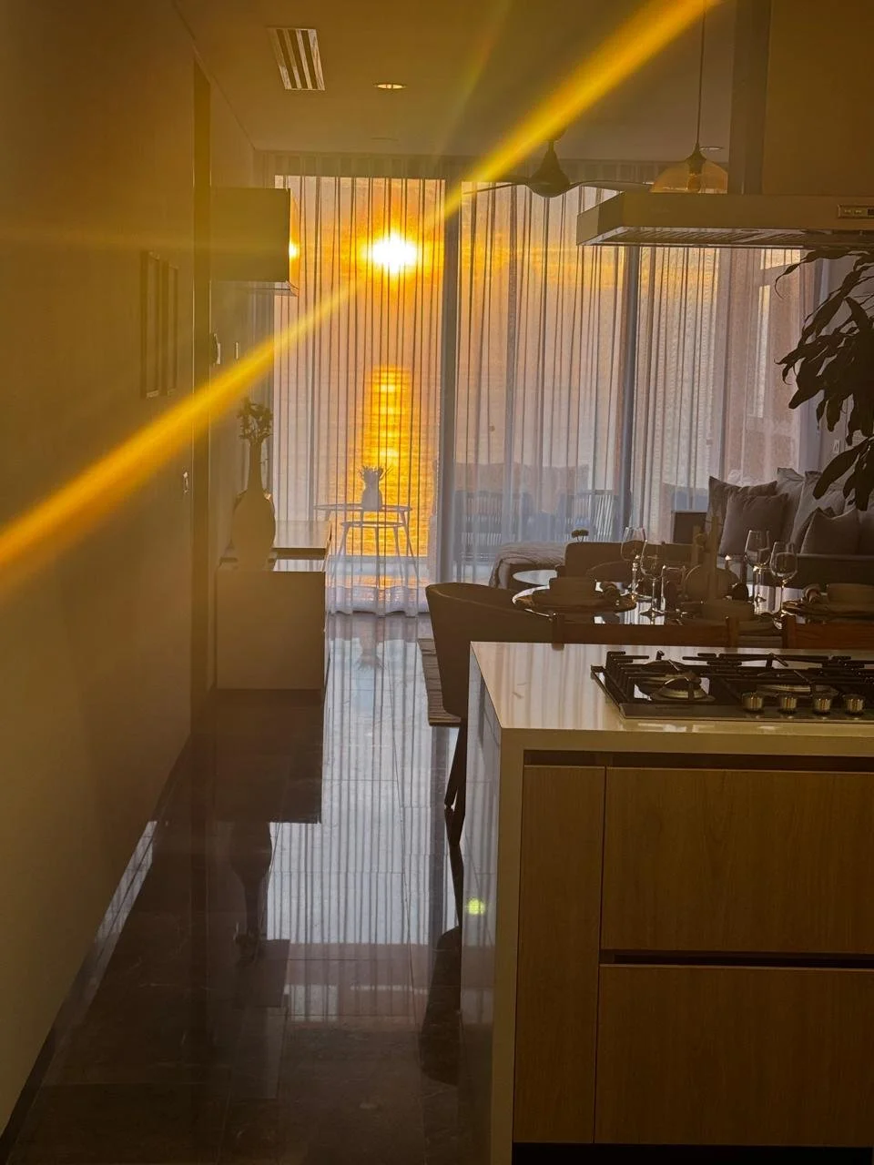 WhatsApp Image 2025-09-09 at 10.20.13 AM.jpeg