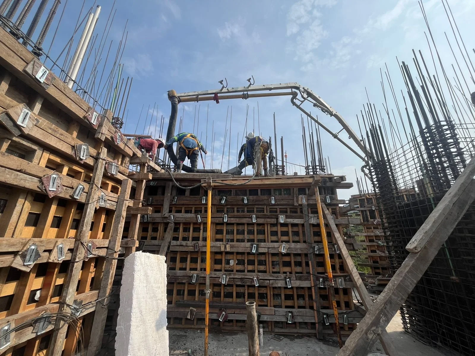 PHOTO-2026-01-15-11-50-47 2.jpg