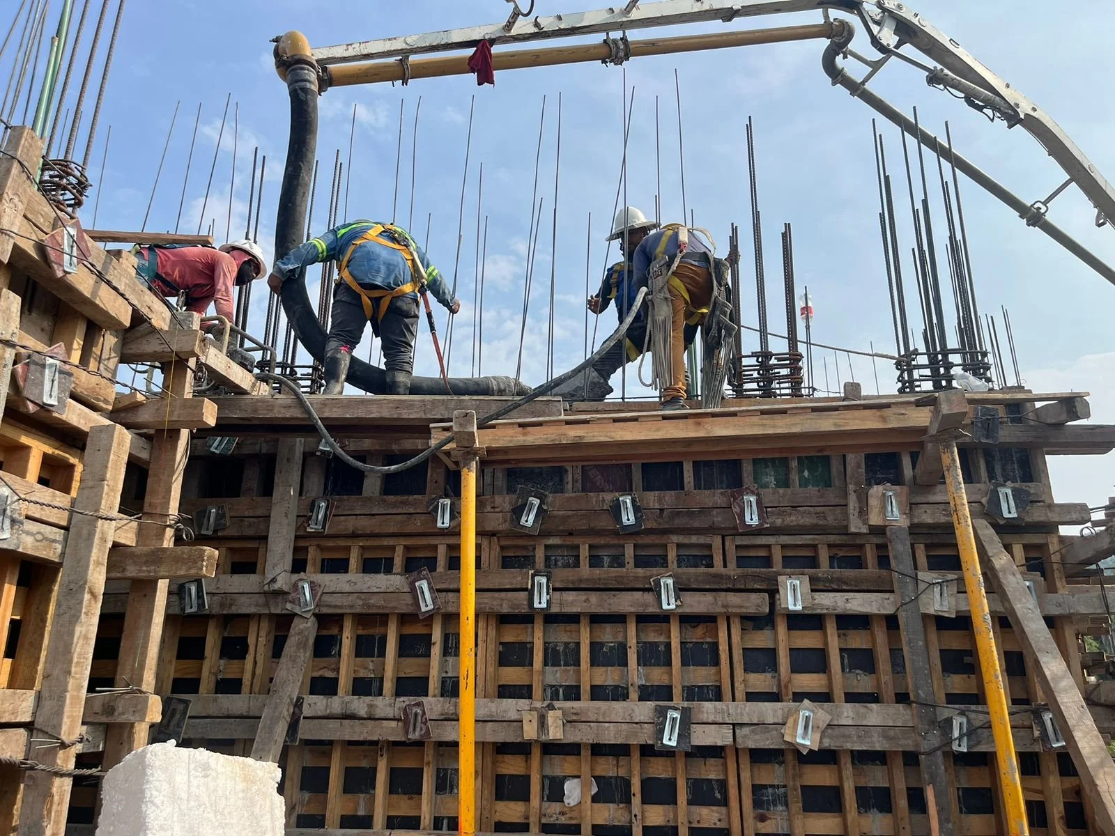 PHOTO-2026-01-15-11-50-52 6.jpg