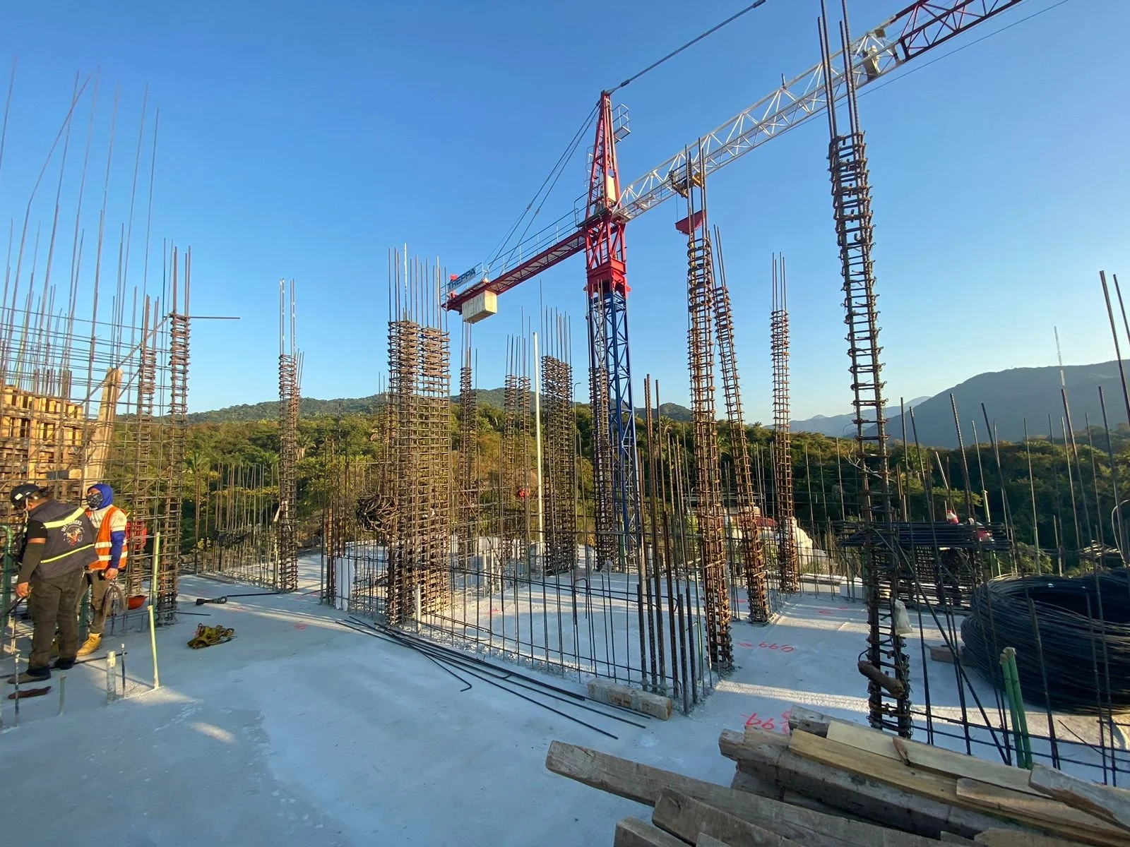 PHOTO-2026-01-15-11-49-59 7.jpg