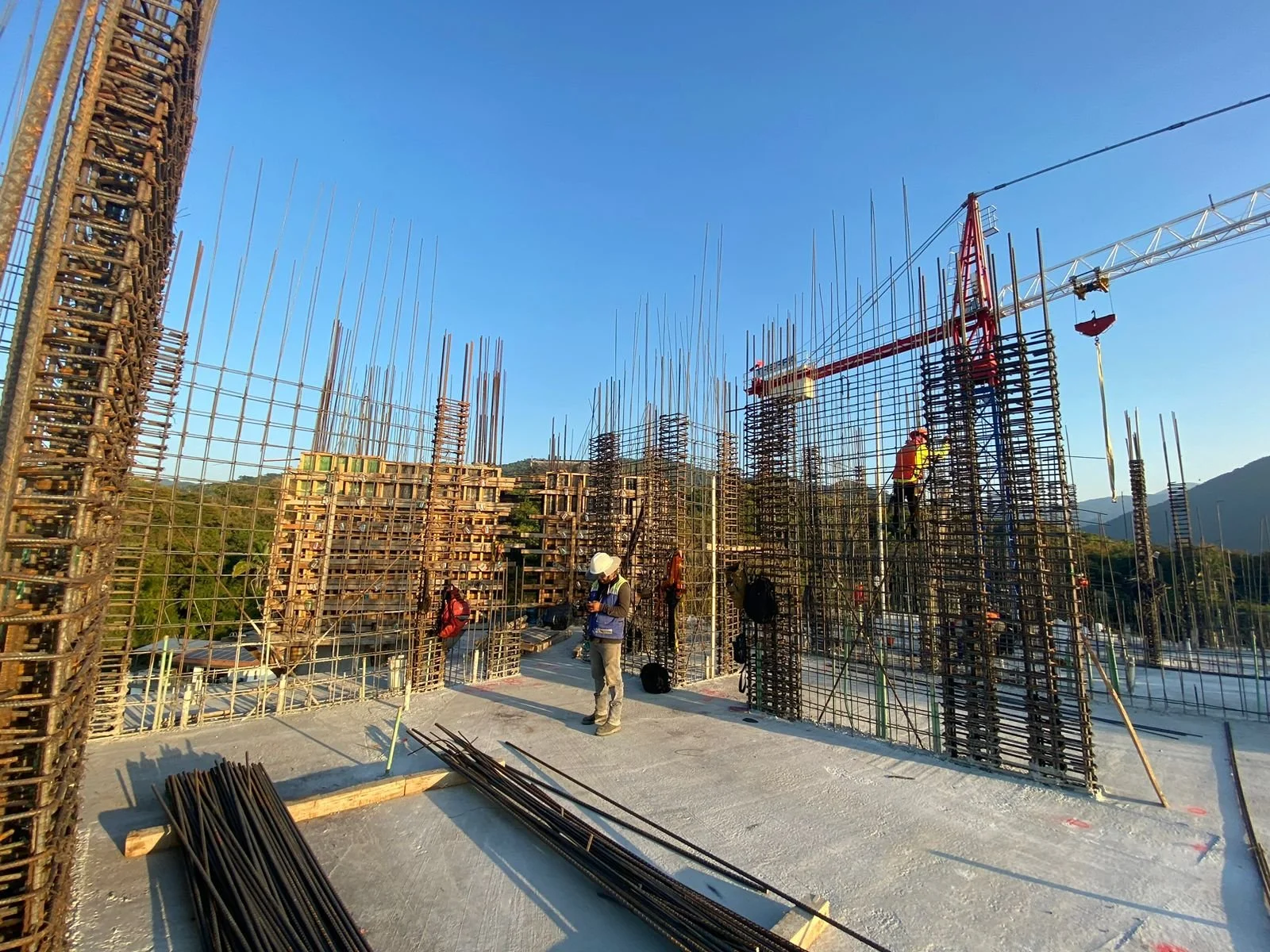 PHOTO-2026-01-15-11-49-58 6.jpg