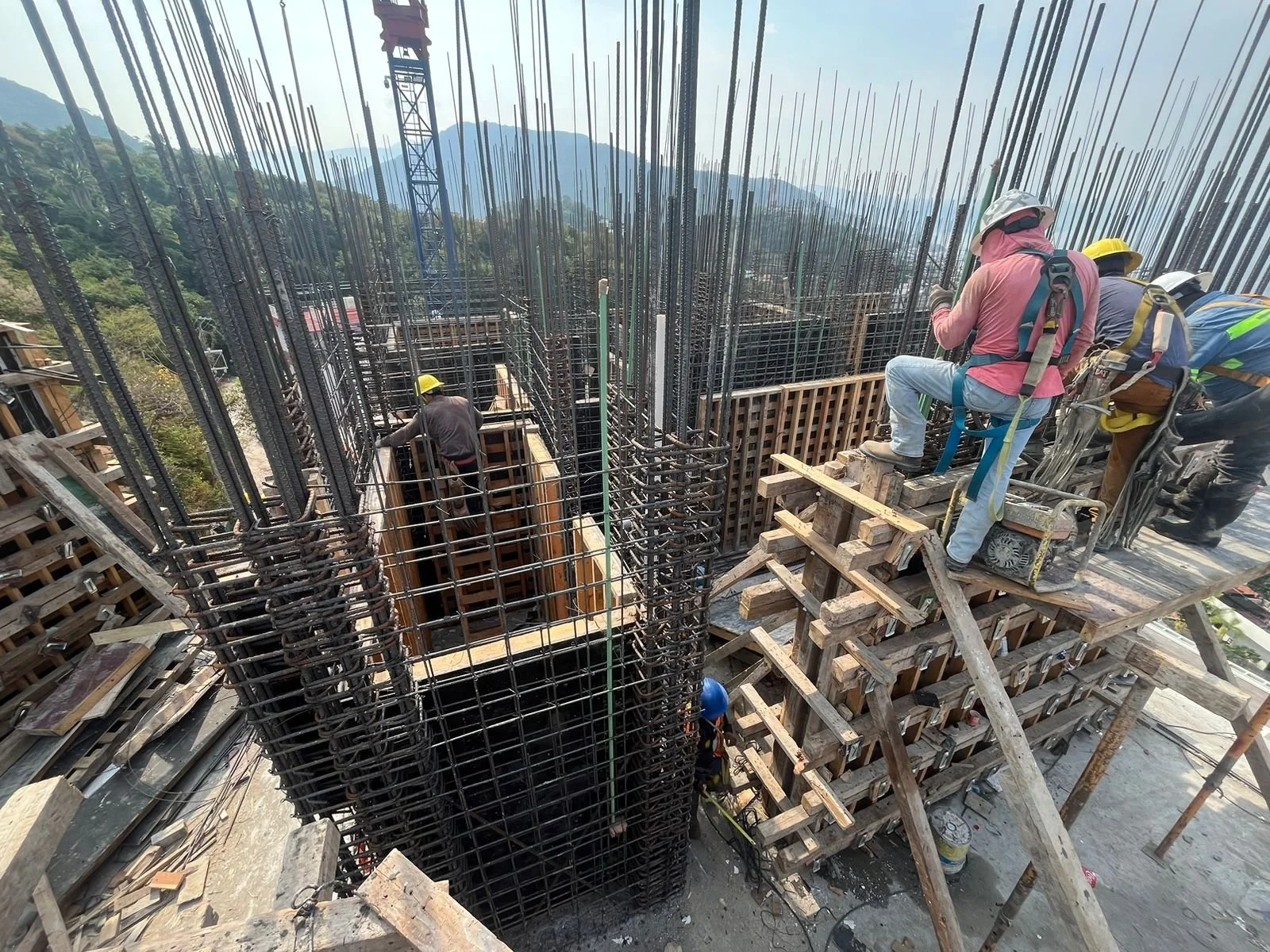 PHOTO-2026-01-15-11-50-48 7.jpg