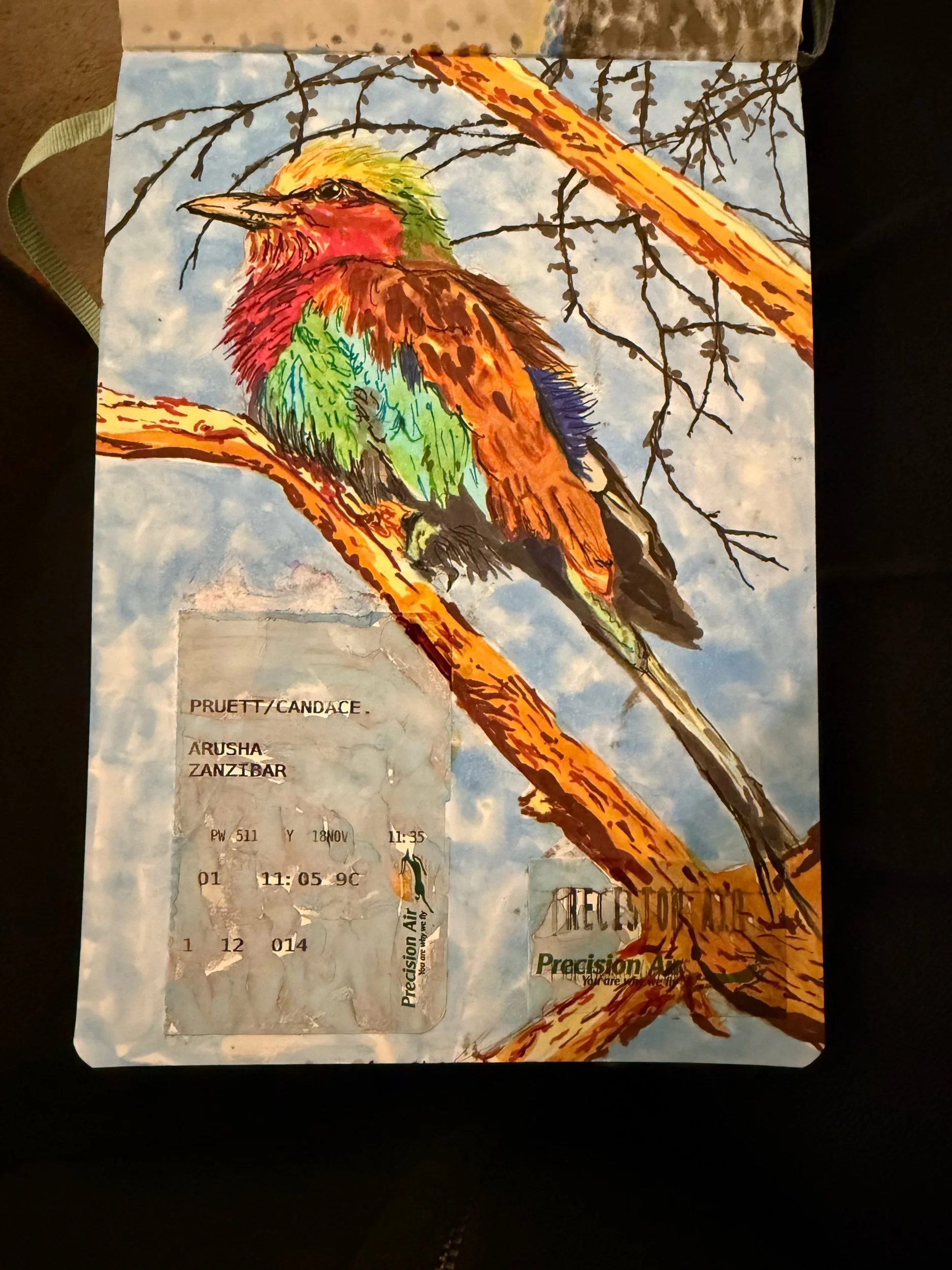 Lilac Breasted Roller bird