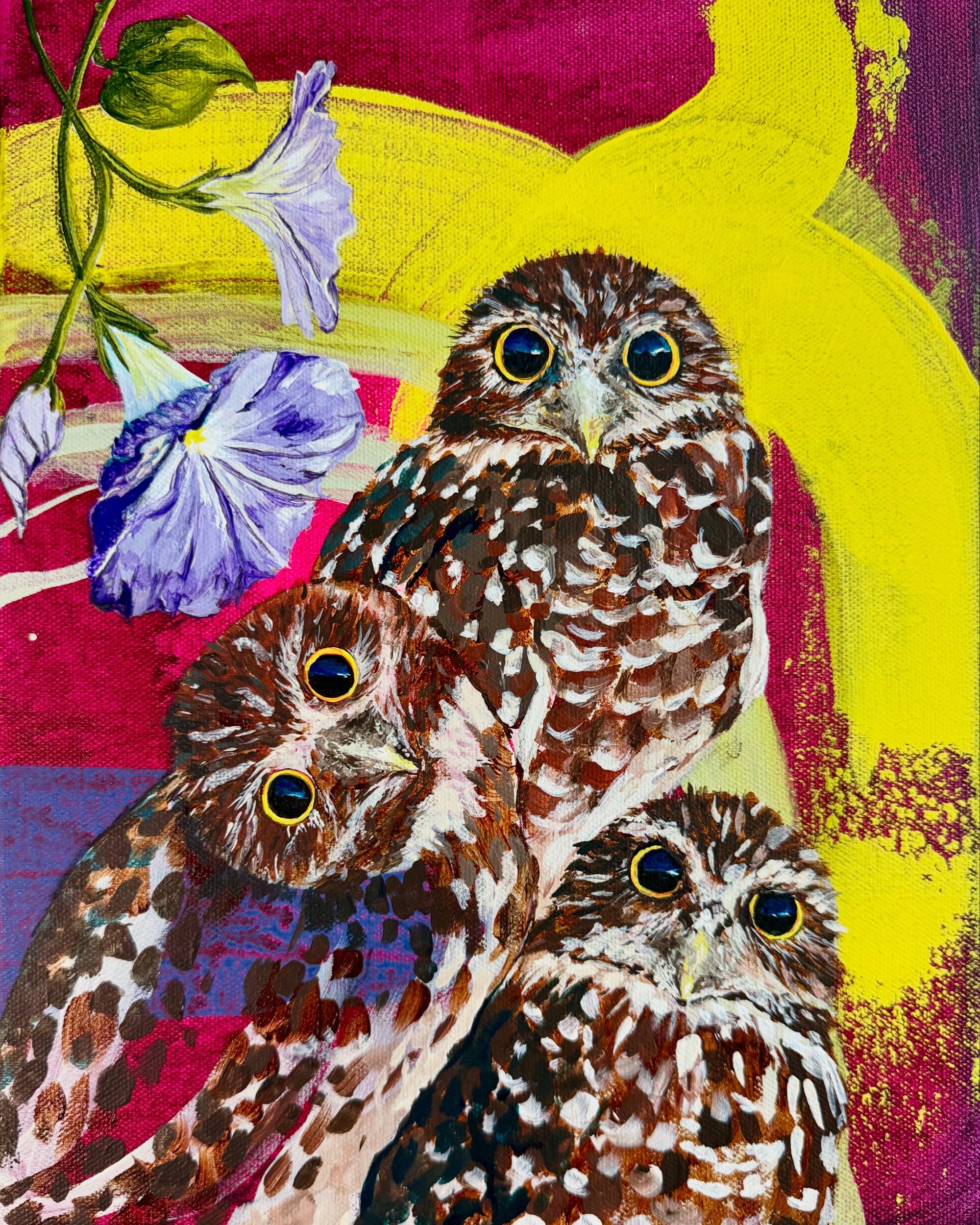 Burrowing owls