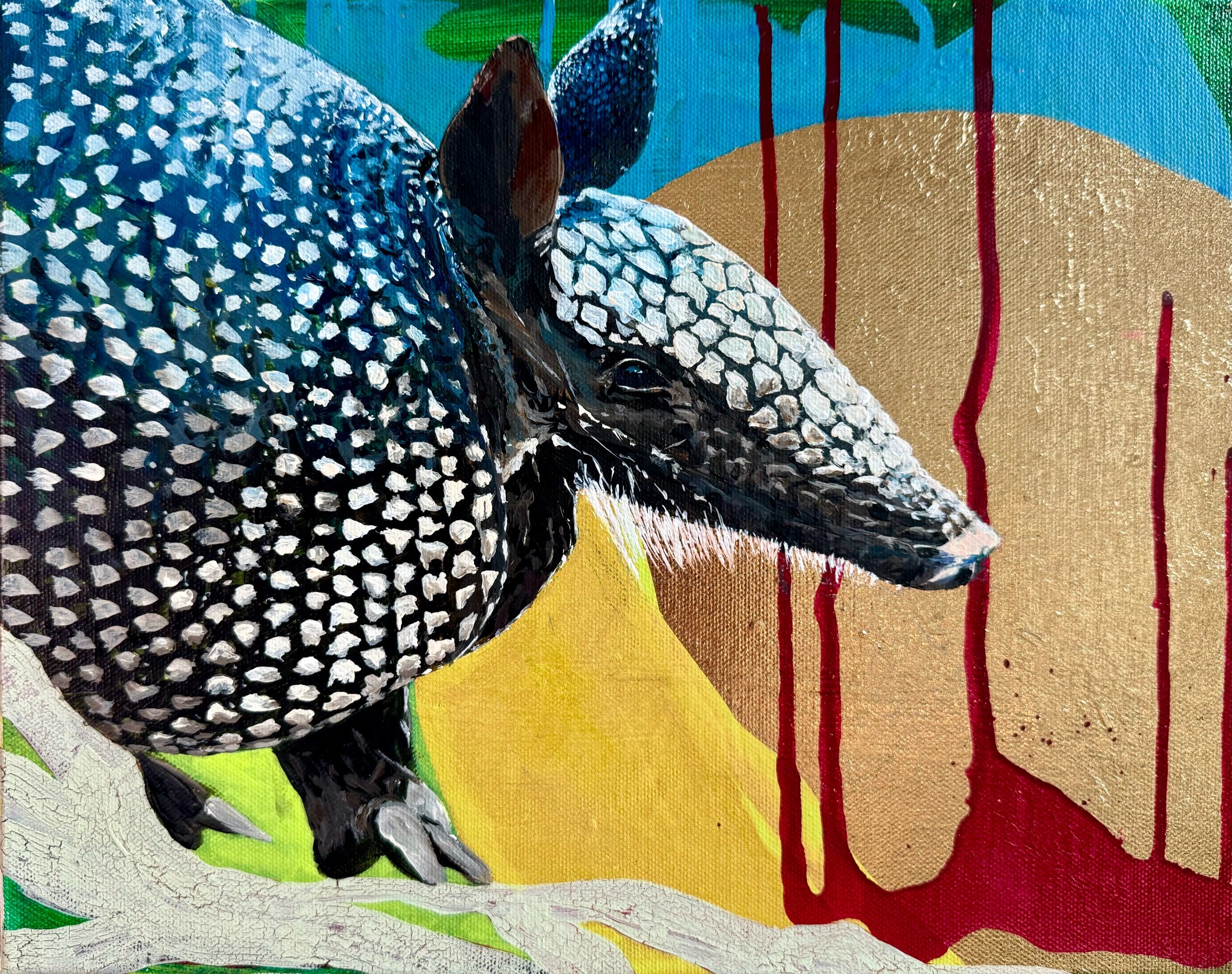 Armadillo in the sun
