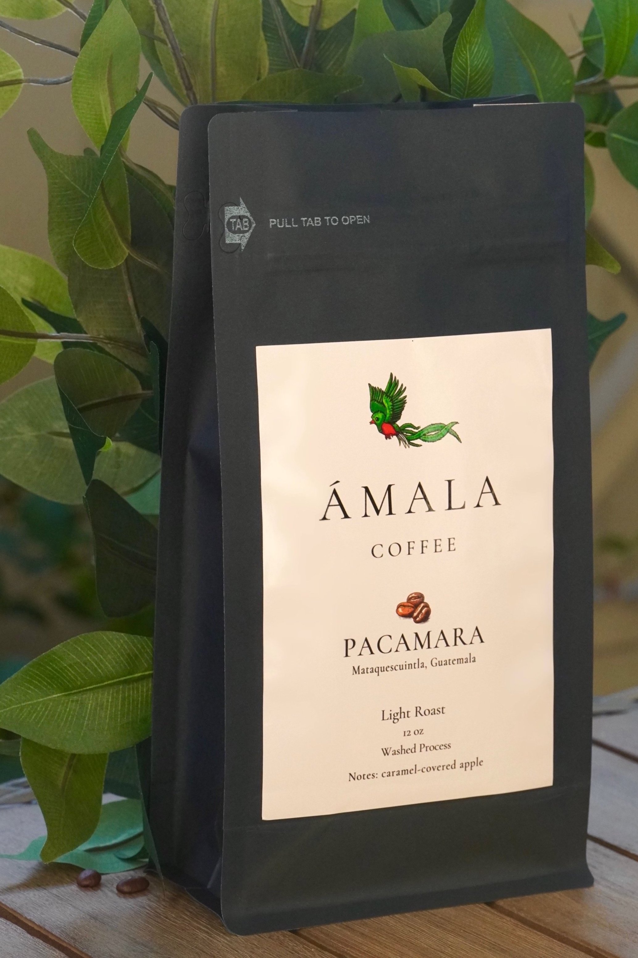 pacamara%2Bbag.jpg