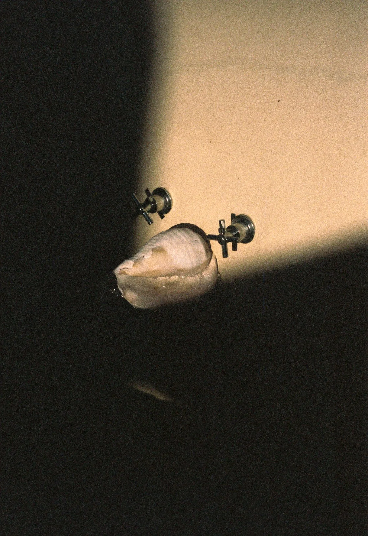 Photo 2024-04-08, 7 46 45 PM.jpg