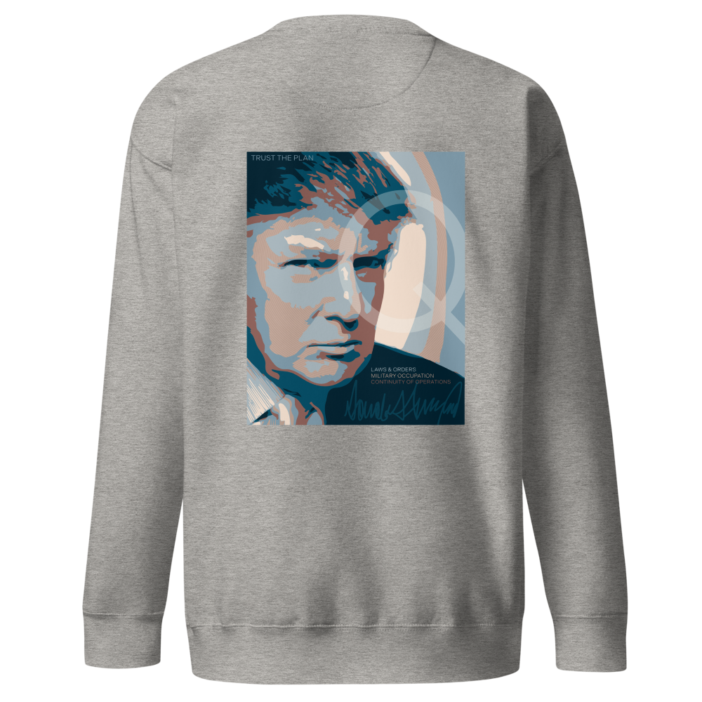 unisex-premium-sweatshirt-carbon-grey-back-670607d57c004.png