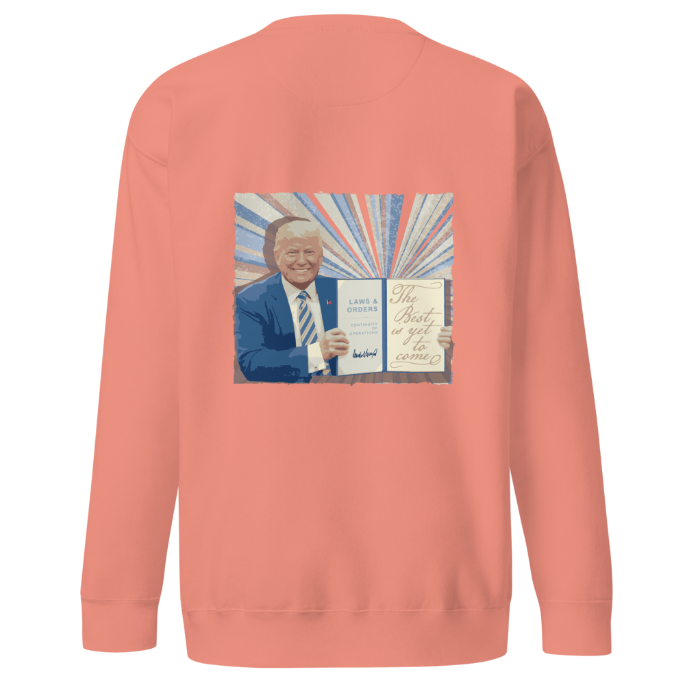 unisex-premium-sweatshirt-dusty-rose-back-670367df45b83.png