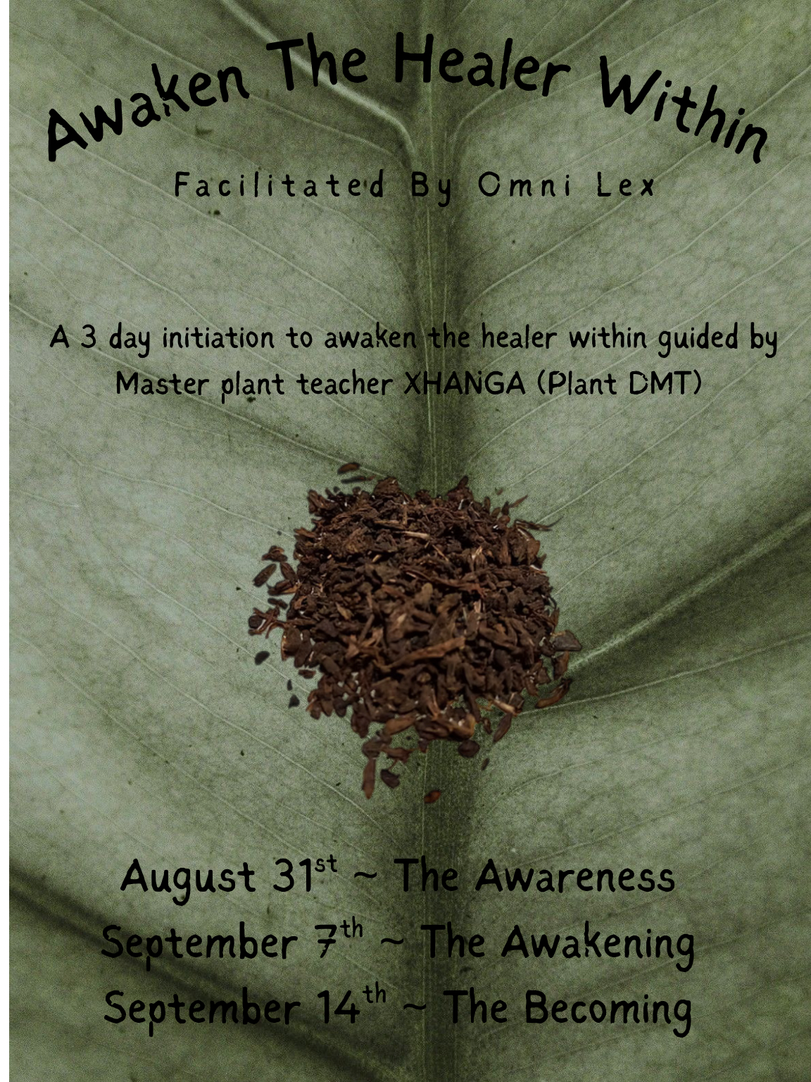 Awaken The Healer Within Ceremony